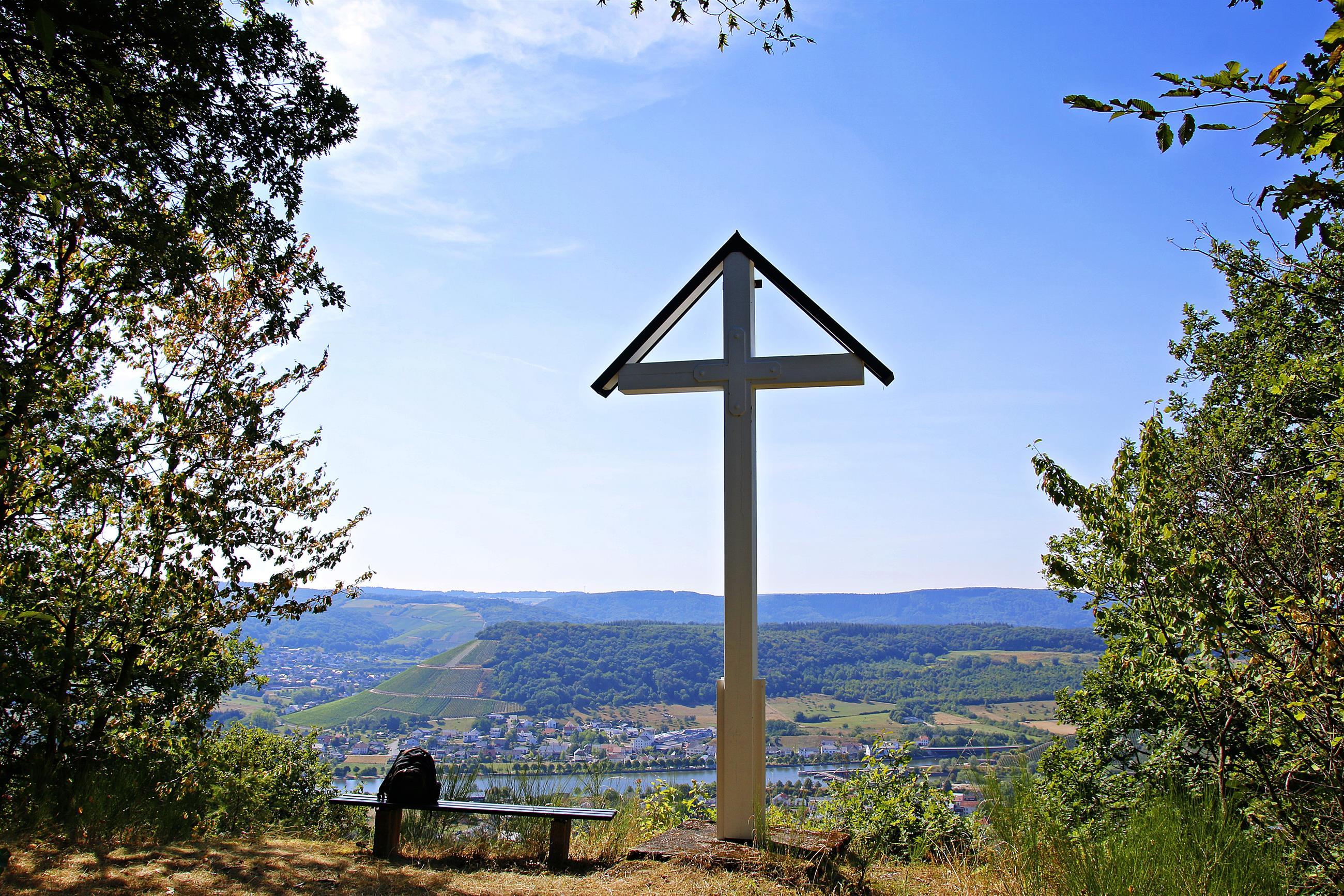 Saar-Riesling-Steig (02)