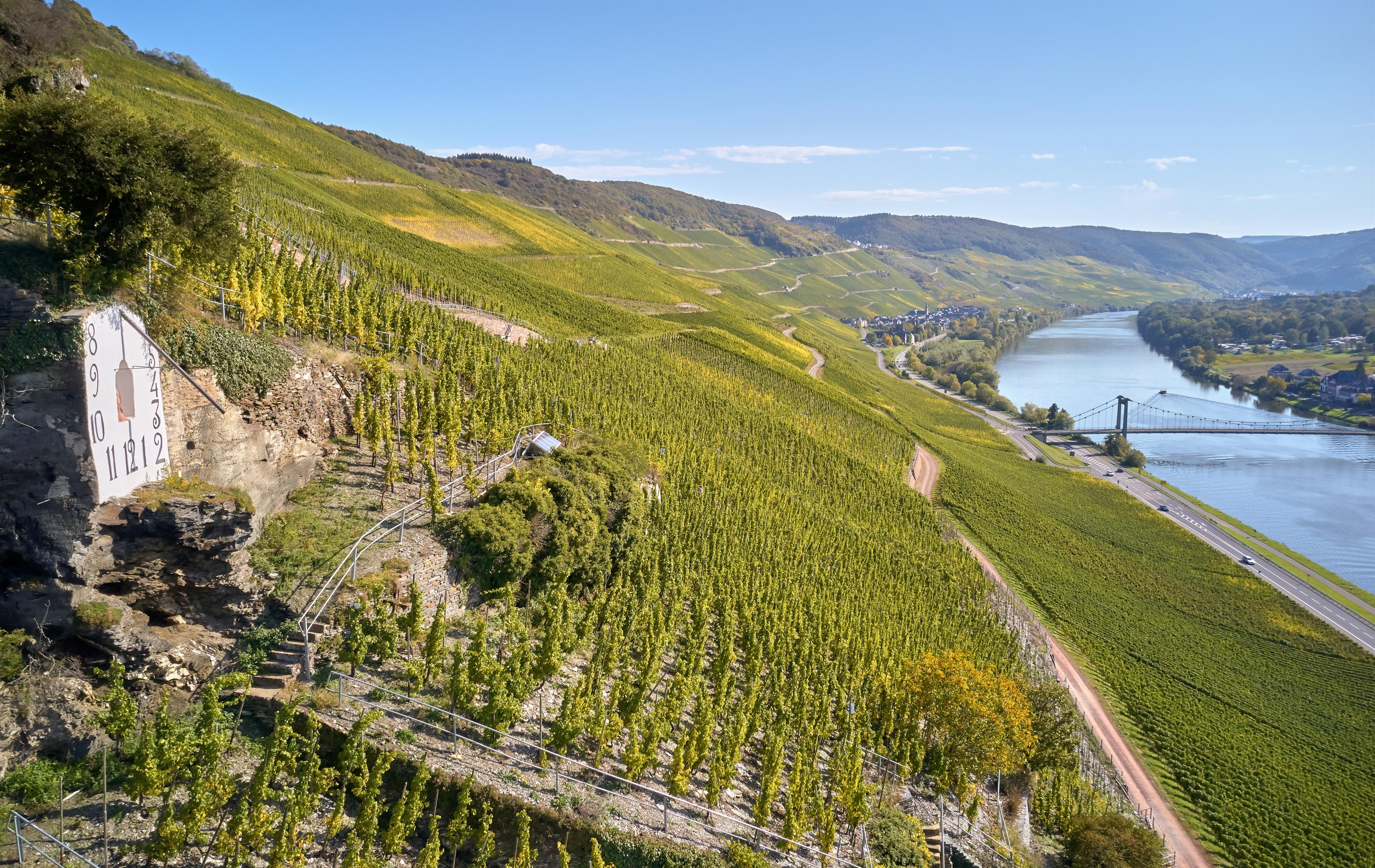 Wehlener Sonnenuhr mit Blick auf Mosel