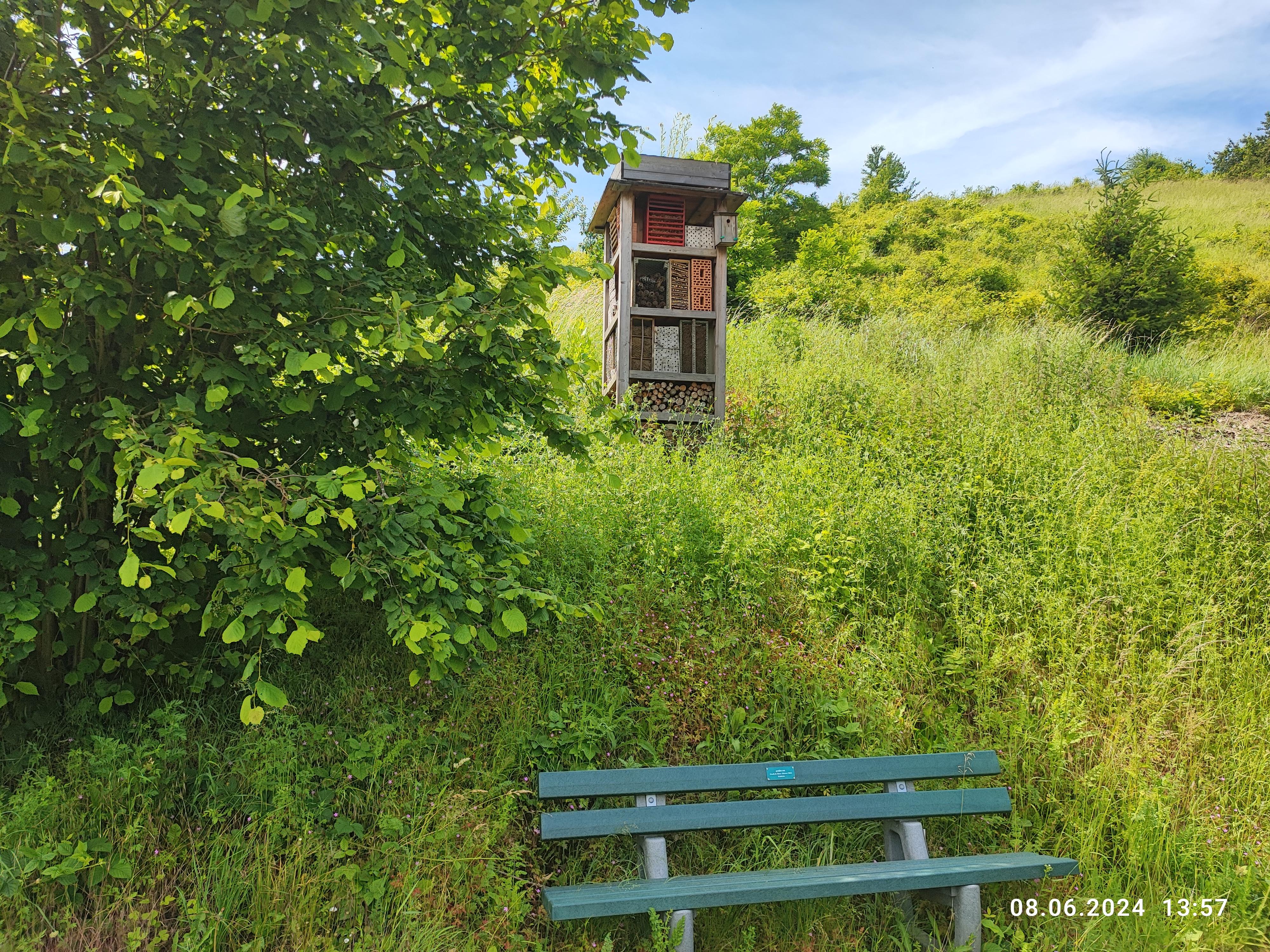 Lebensturm am Wildbienenweg