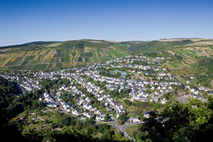 Waldrach