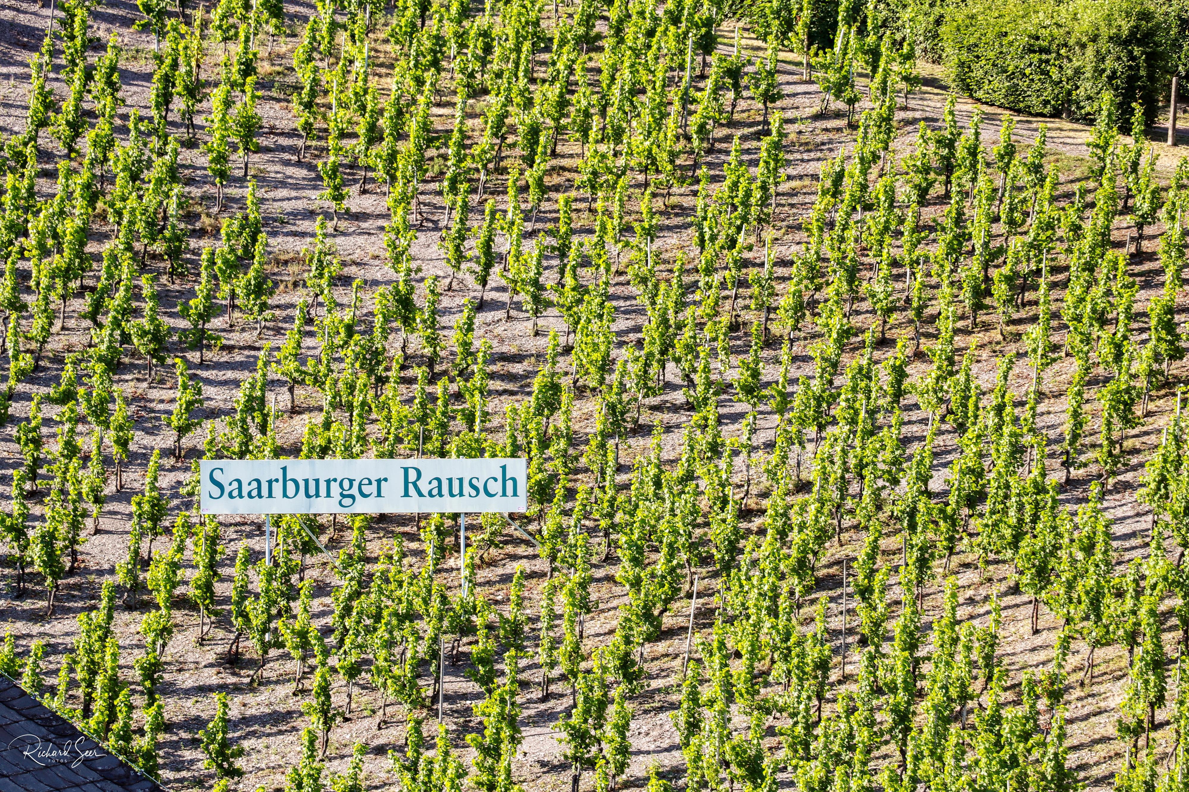 Saarburger Rausch