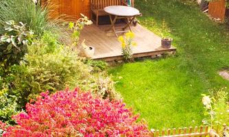 Blick in den Garten