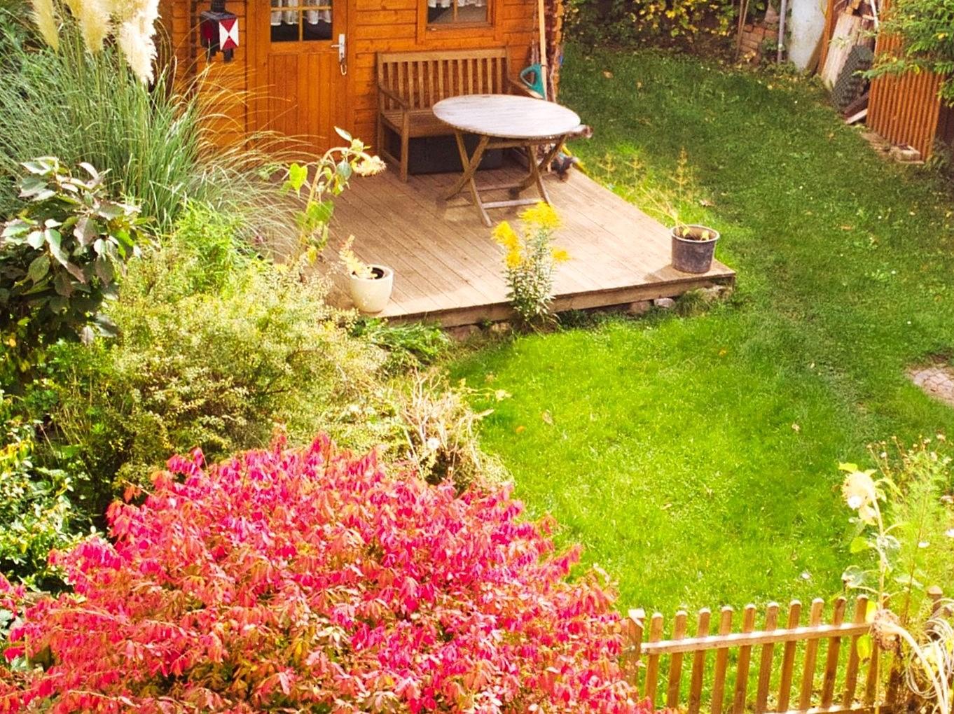Blick in den Garten