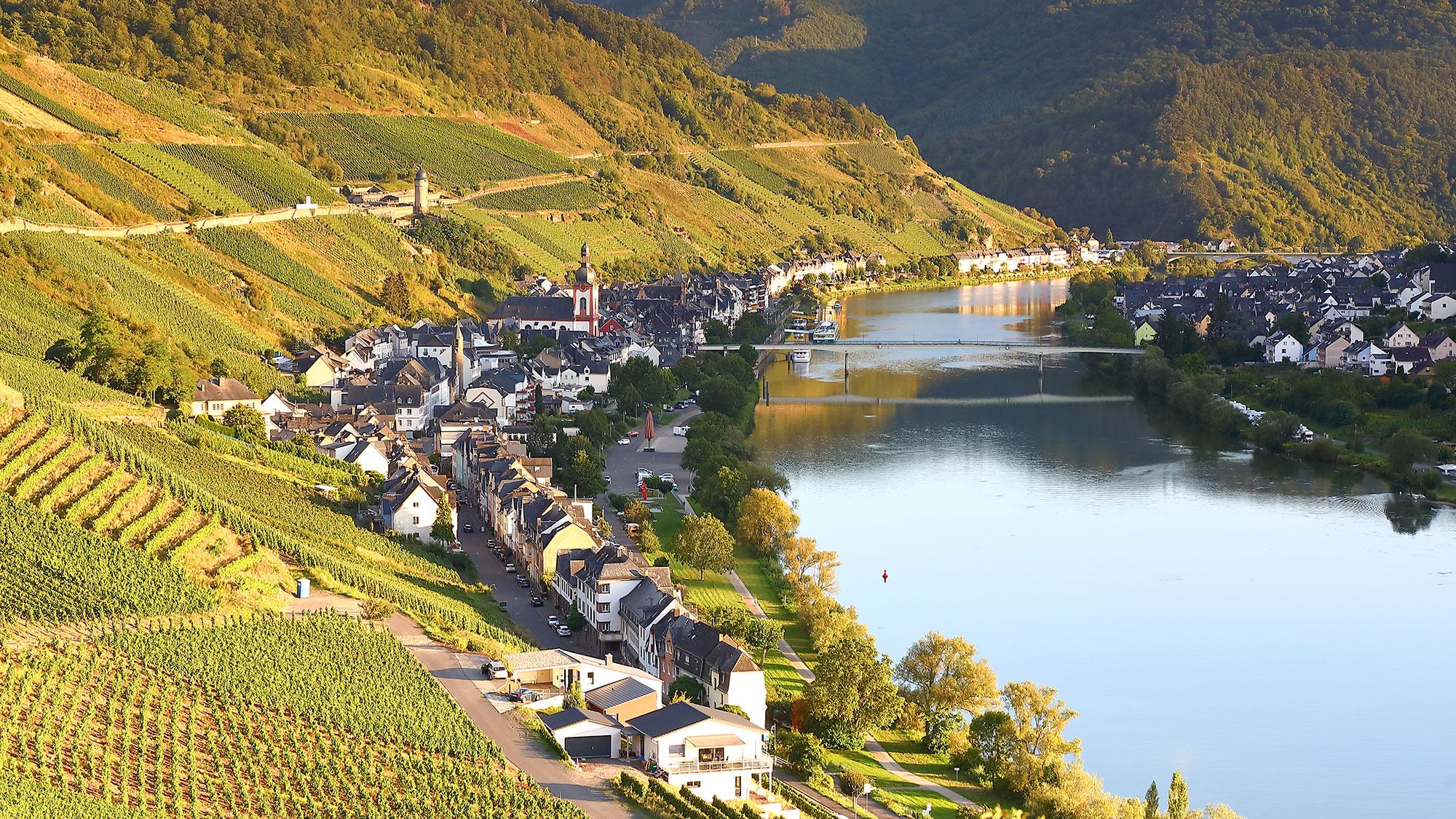 ZellanderMoselDeutschland