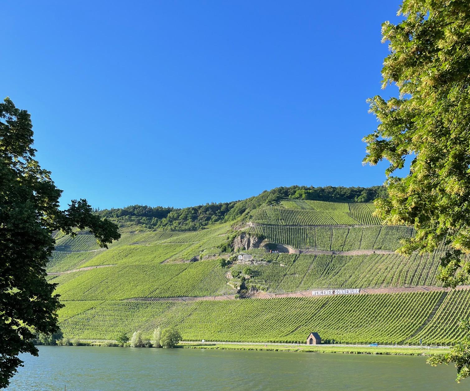 Weinberge an der Mosel