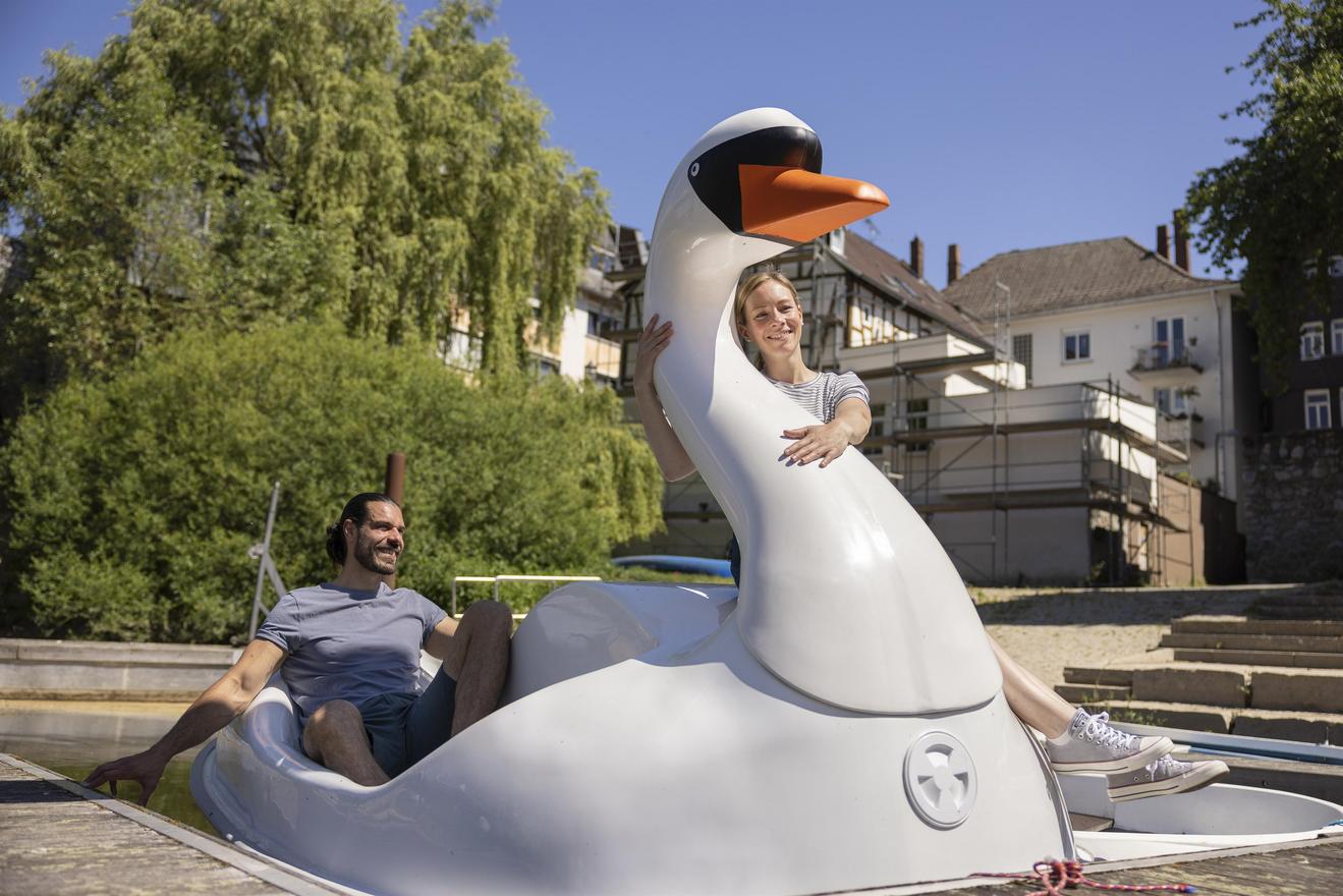 Dem Schwan ganz nah