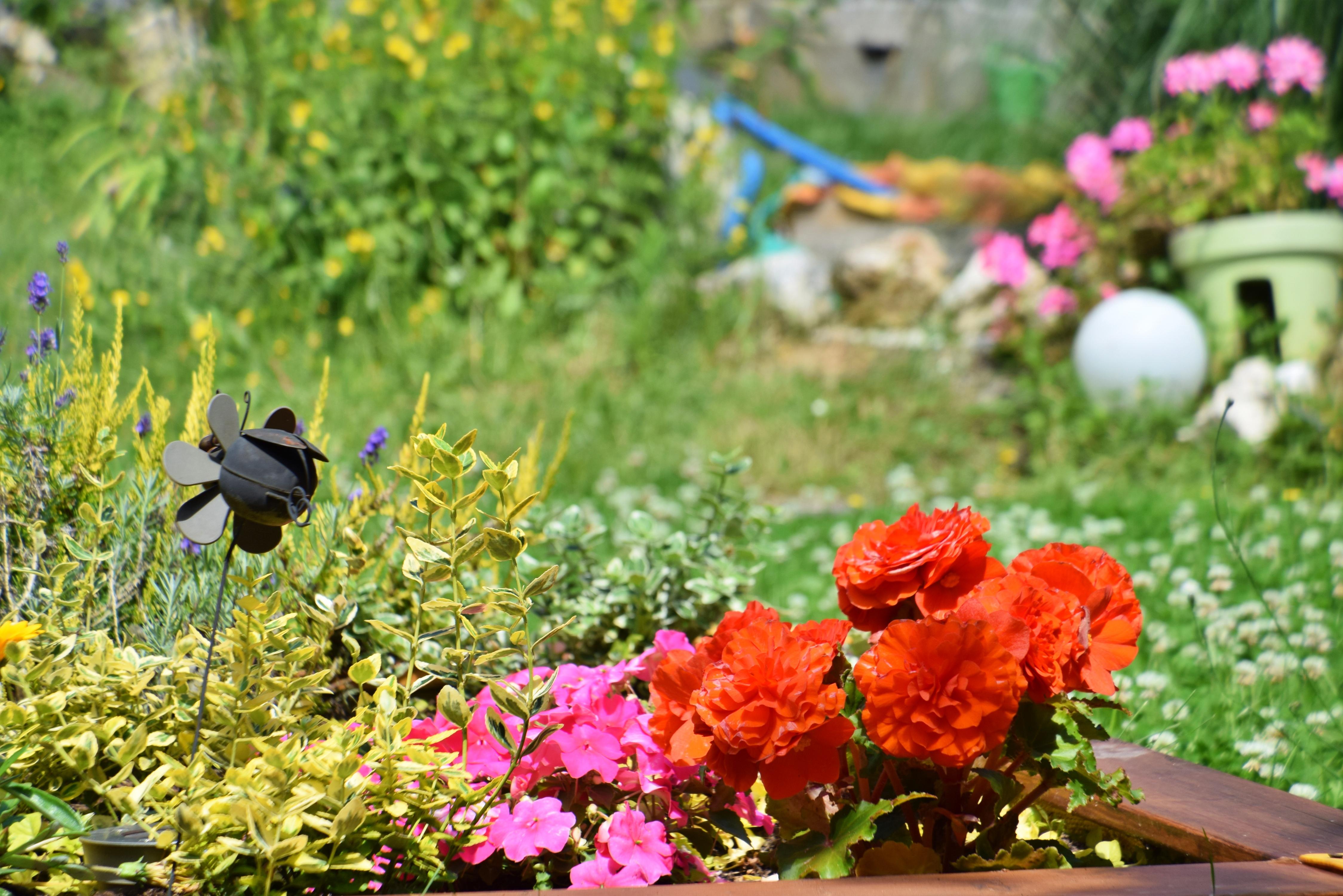 Garten