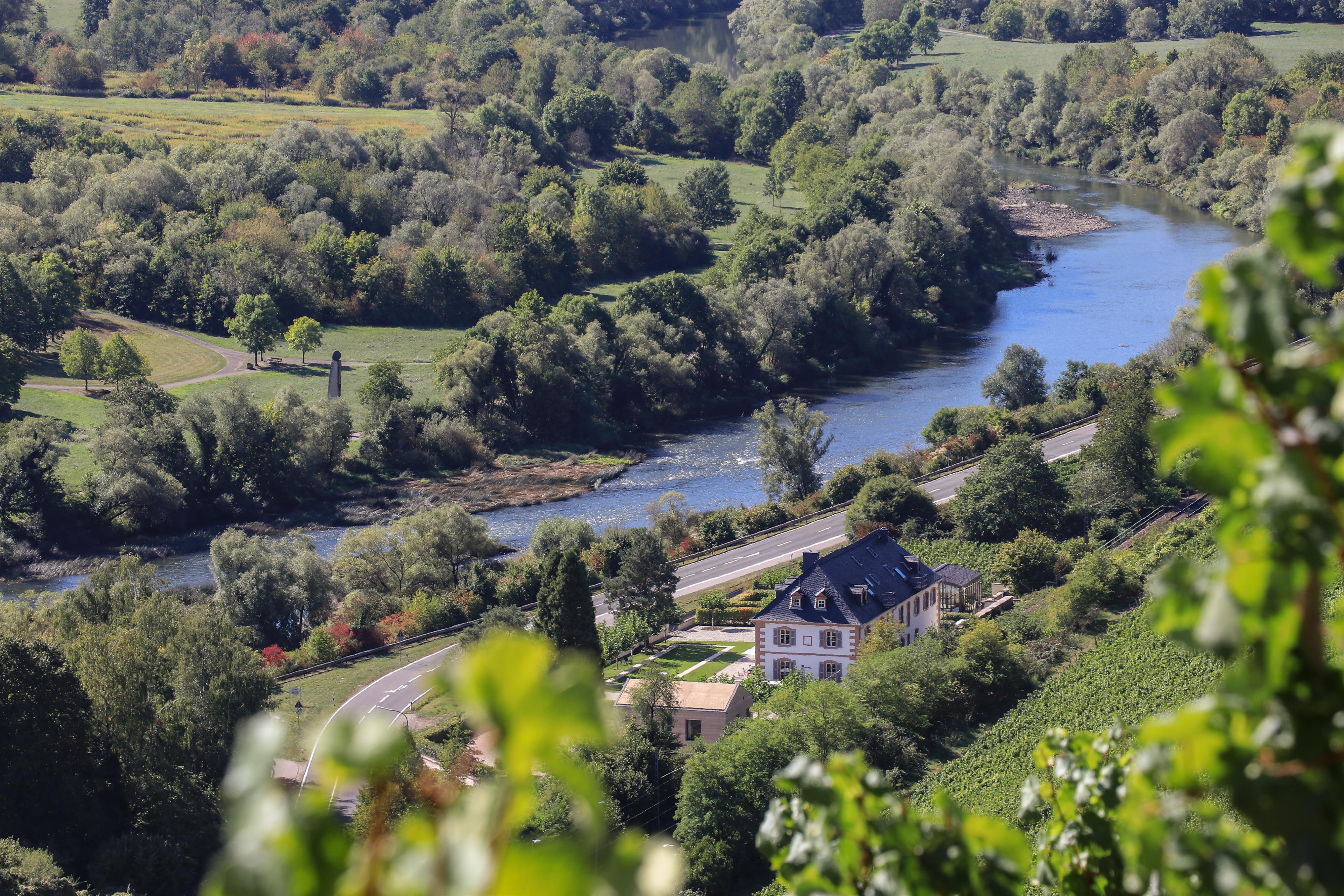 Weingut Cantzheim