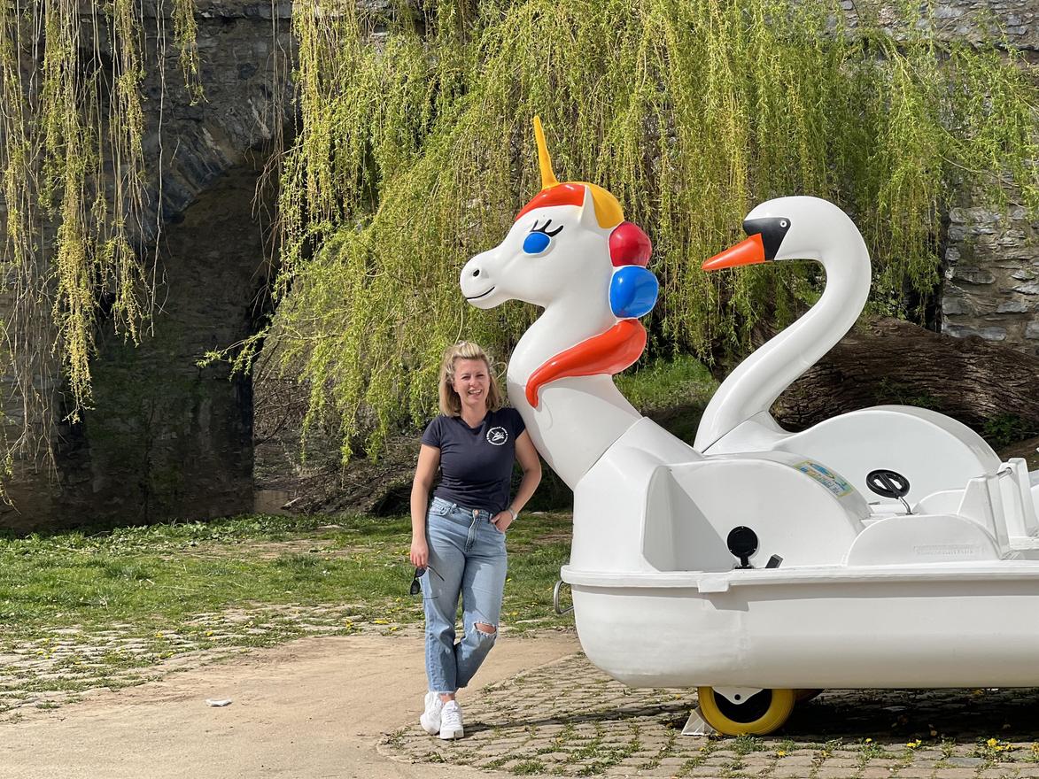 Einhorn und Schwan