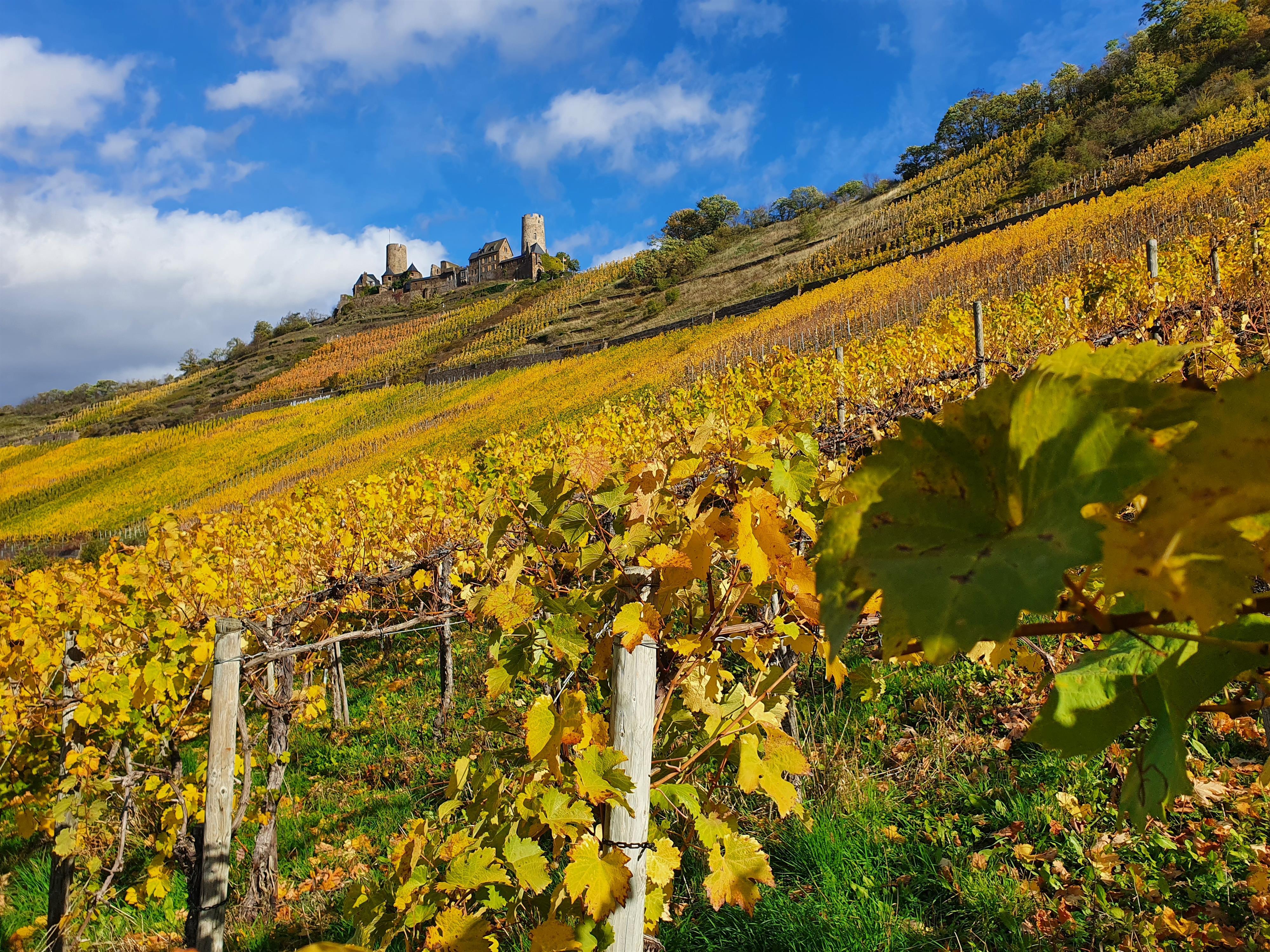 Burg Thurant_Herbst 2022