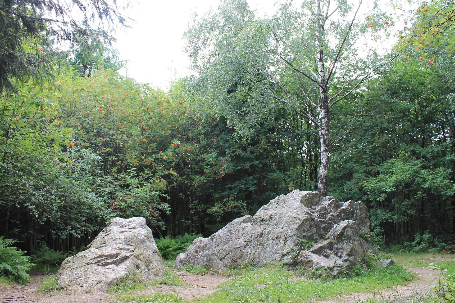 eifelsteig mit fahrrad