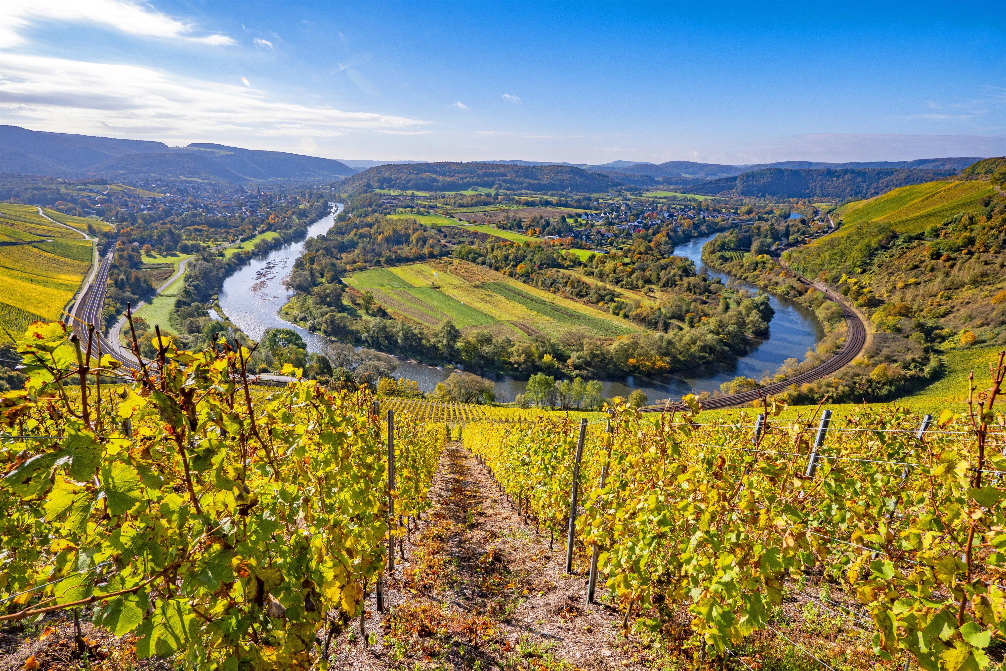 Wiltinger Saarbogen im Herbst