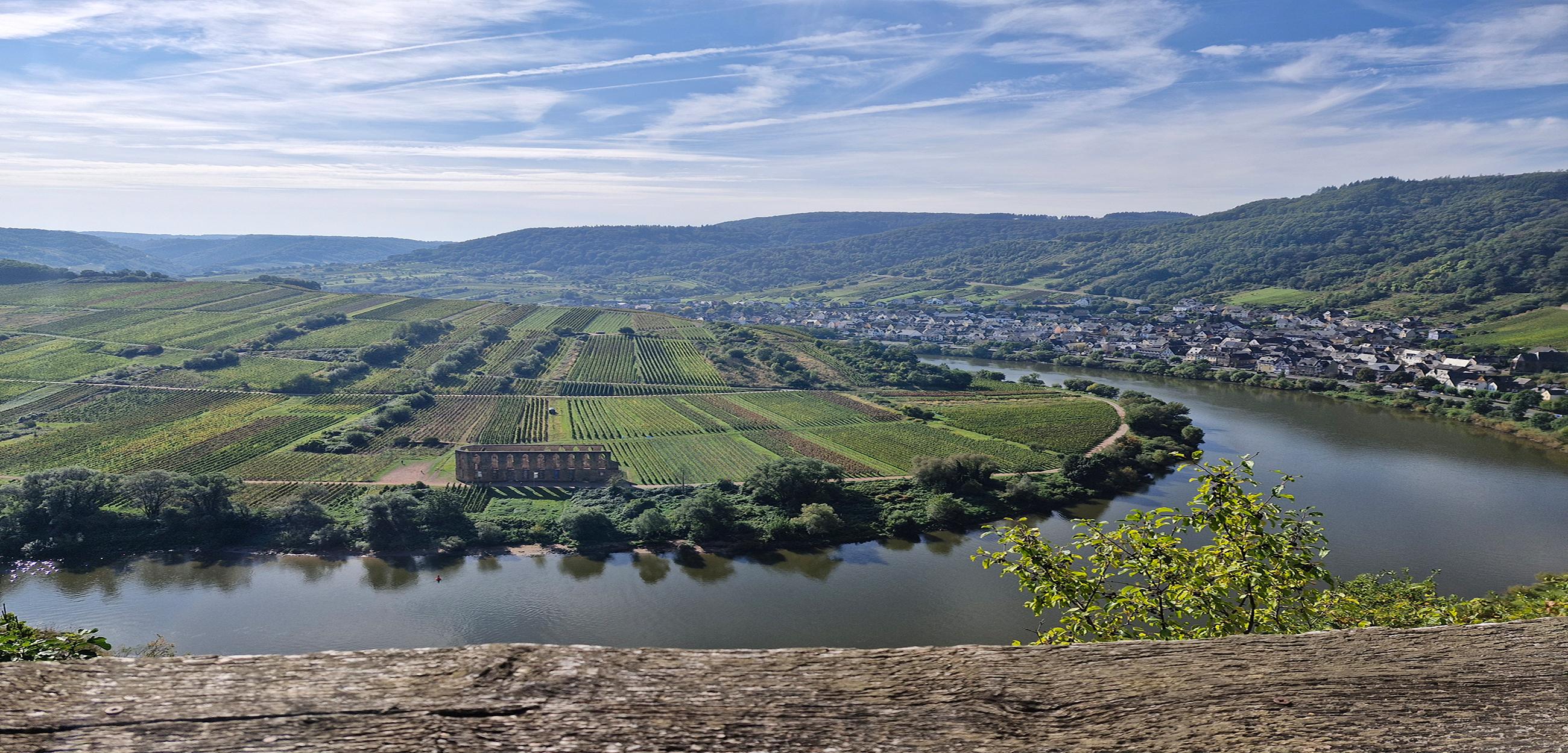 Calmont mit Sicht zur Ruine Kloster Stuben