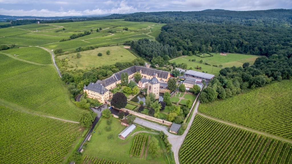 Weingut Schloss Vollrads