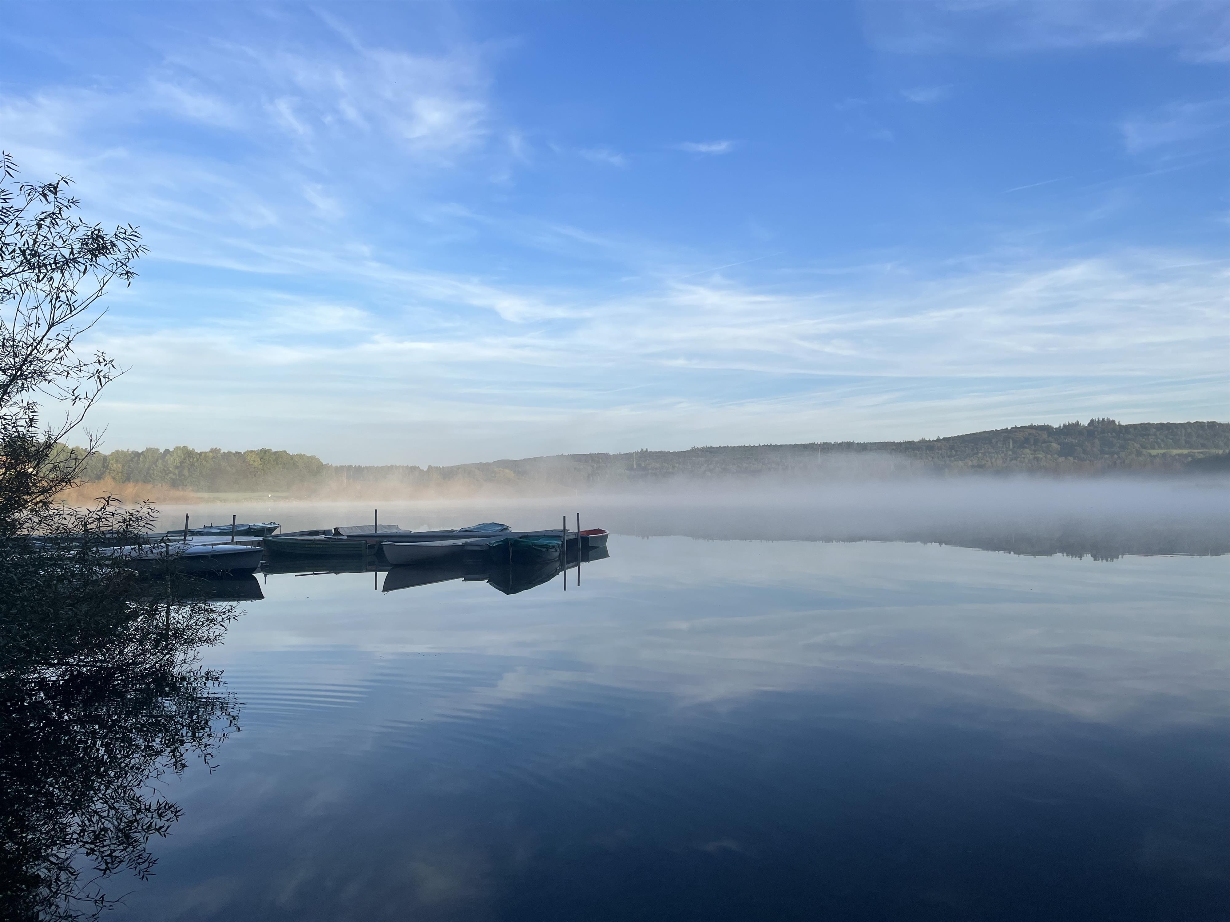 Jungferweiher in Ulmen