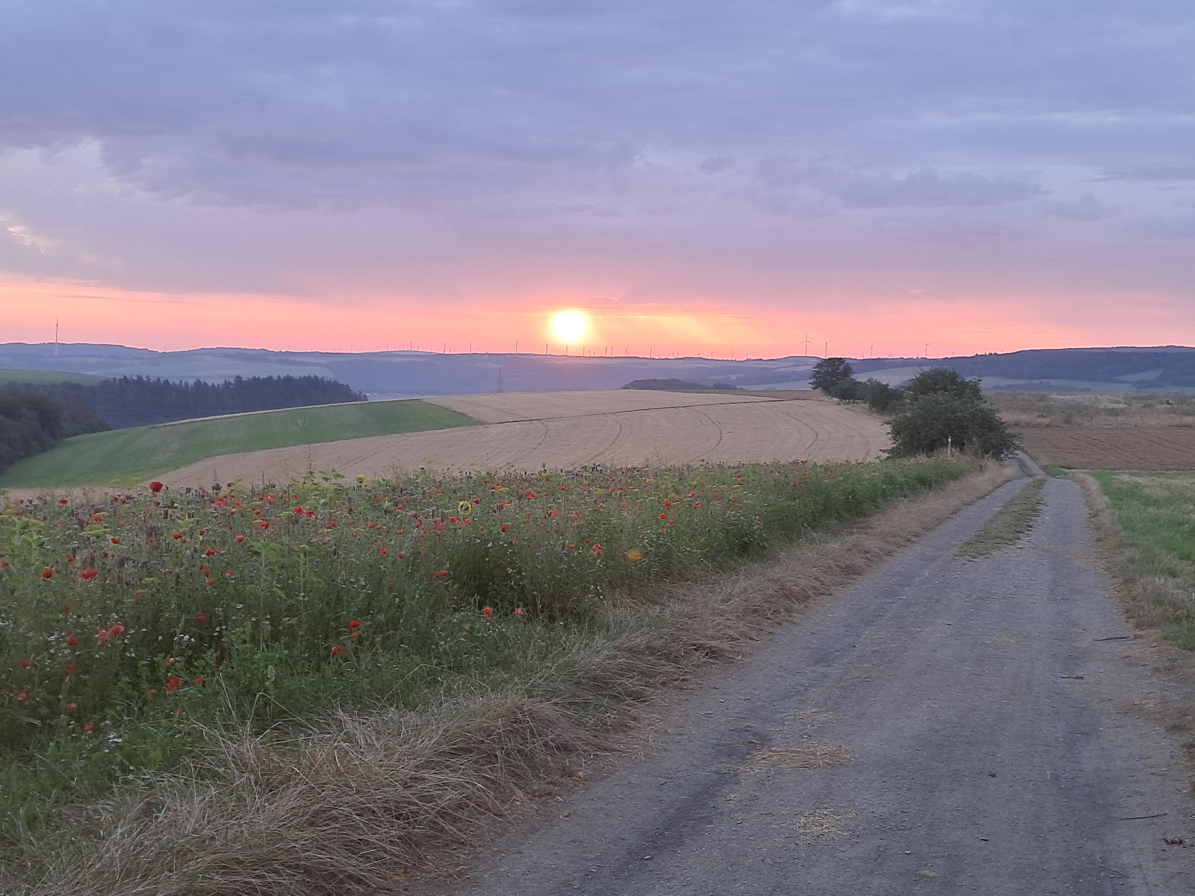 Sonnenaufgang über Gusterath