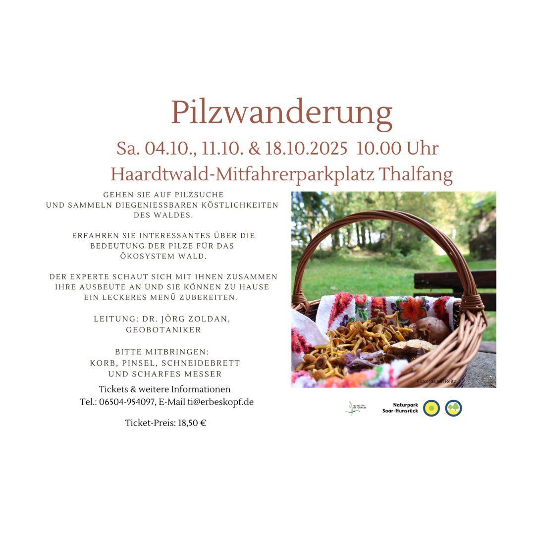 Pilzwanderung