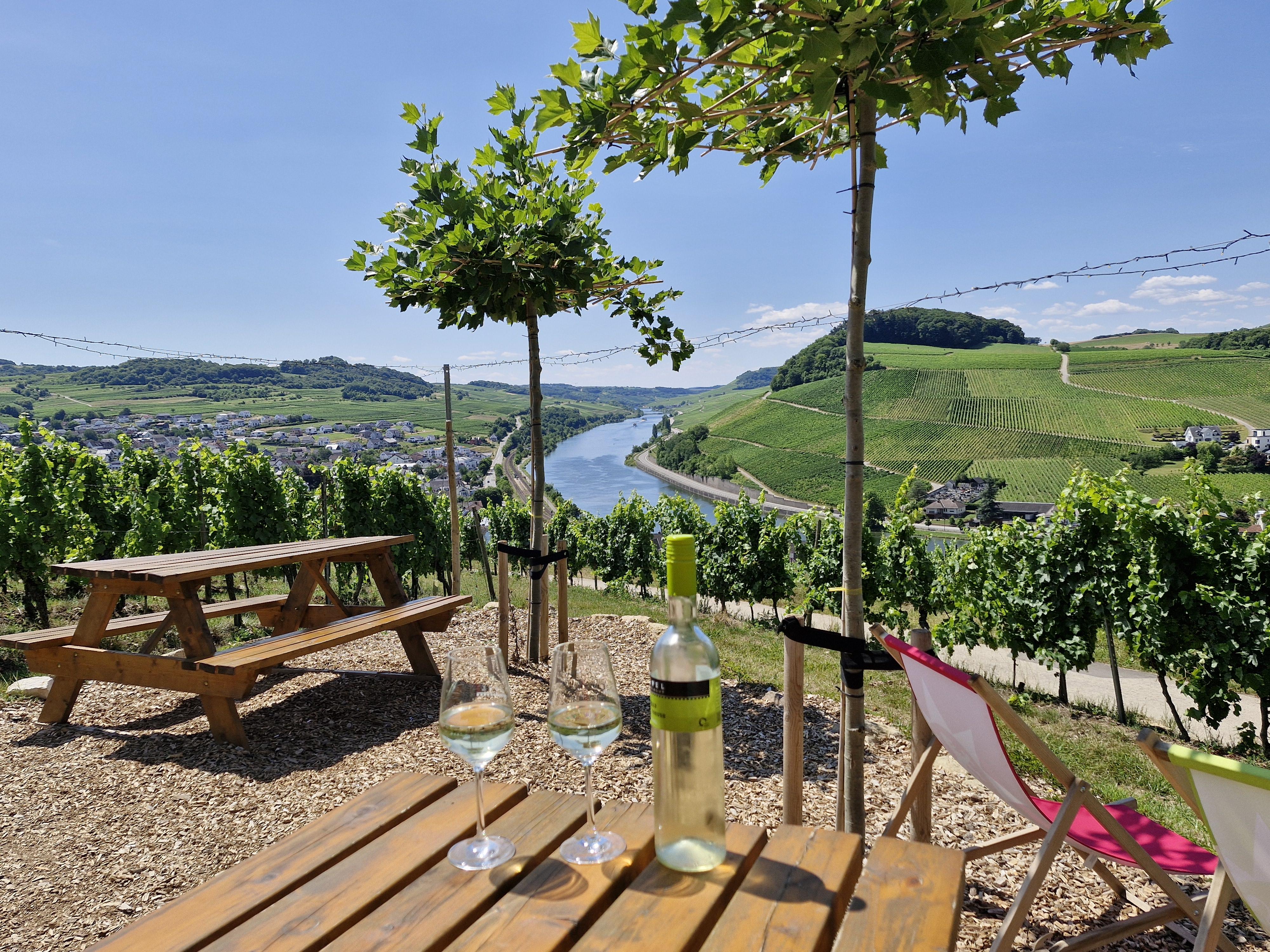 Weinhütte im Leiterchen Nittel (04)