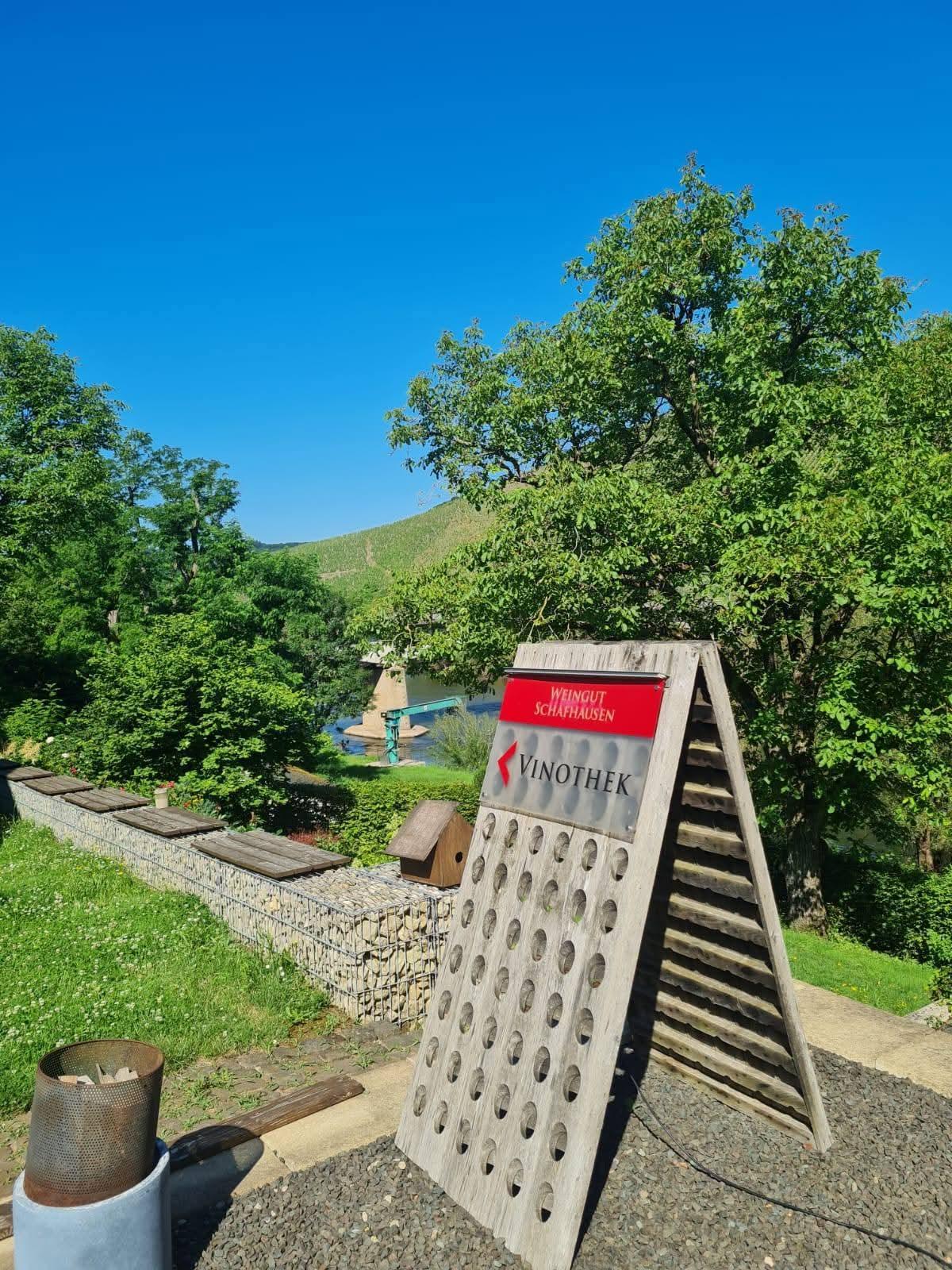Weingut Schafhausen Kanzem (04)