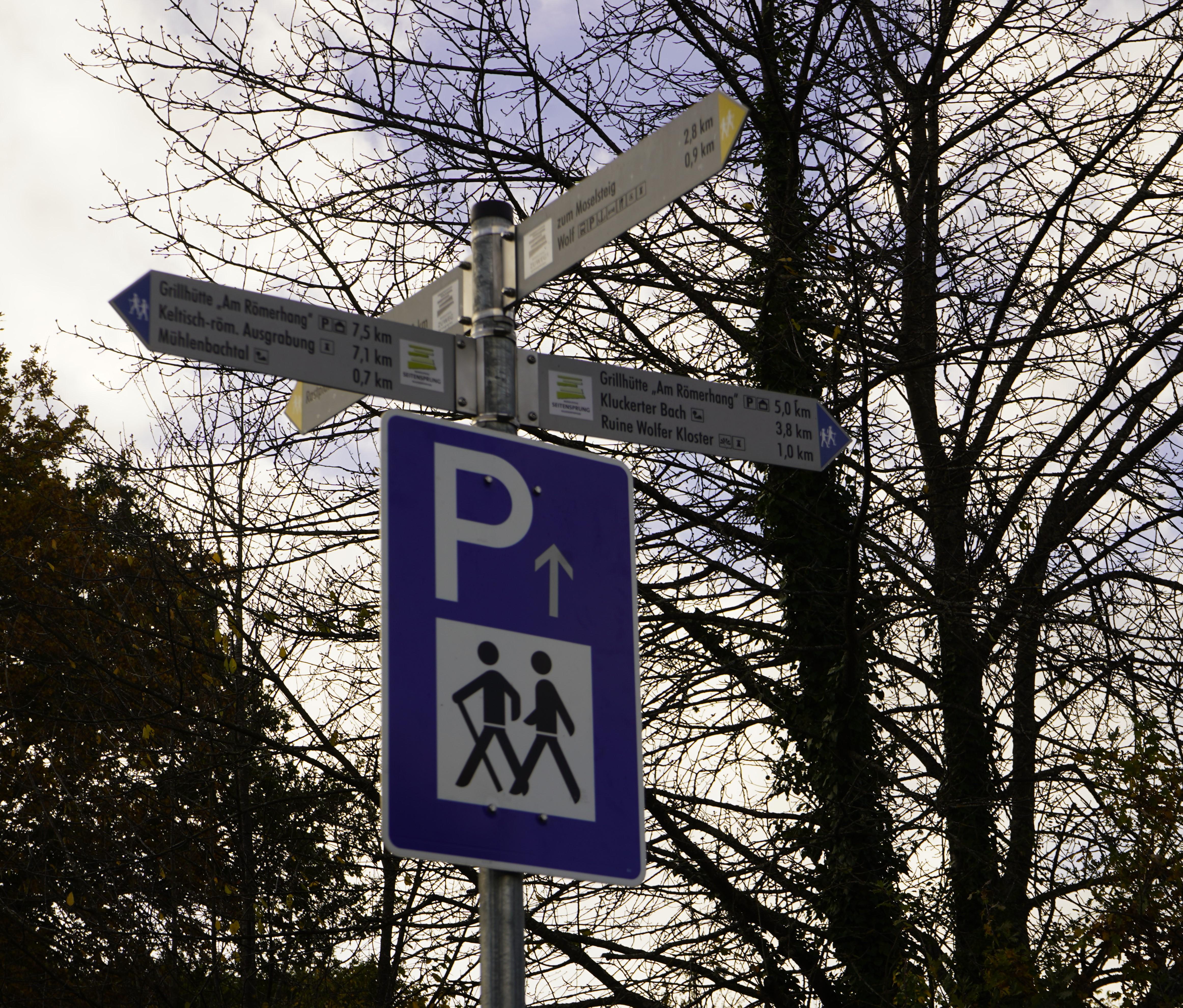 Kopie DSC6535