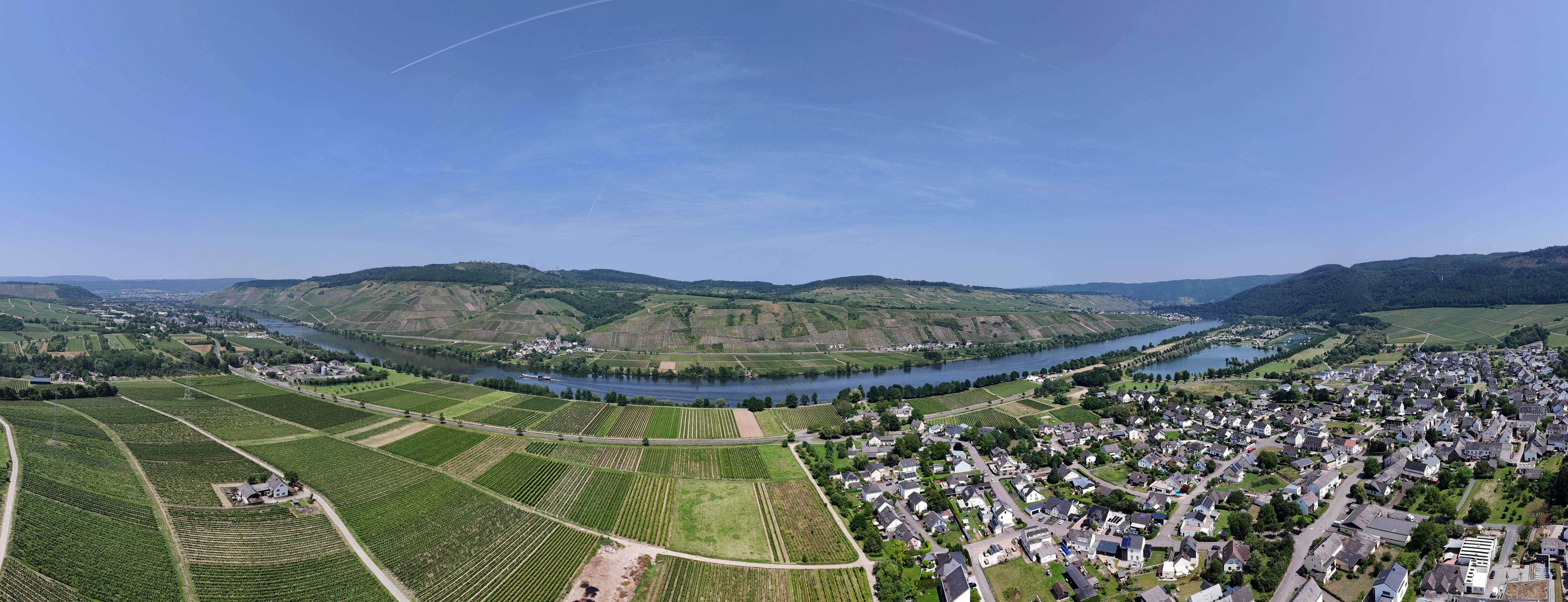 Panorama Riol/Mosel