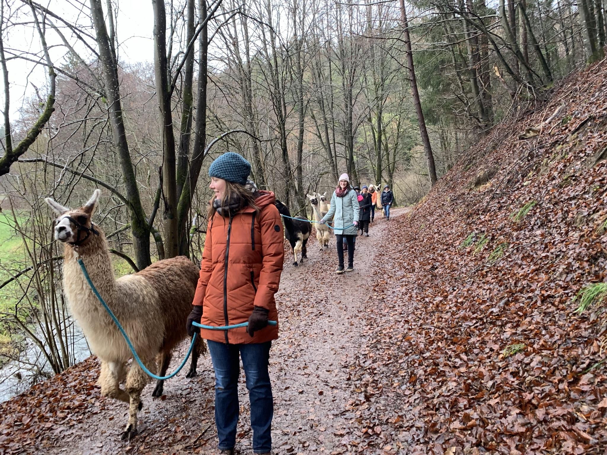 JGA: Lamas, Lagerfeuer & Glühwein | Holidays in the Eifel