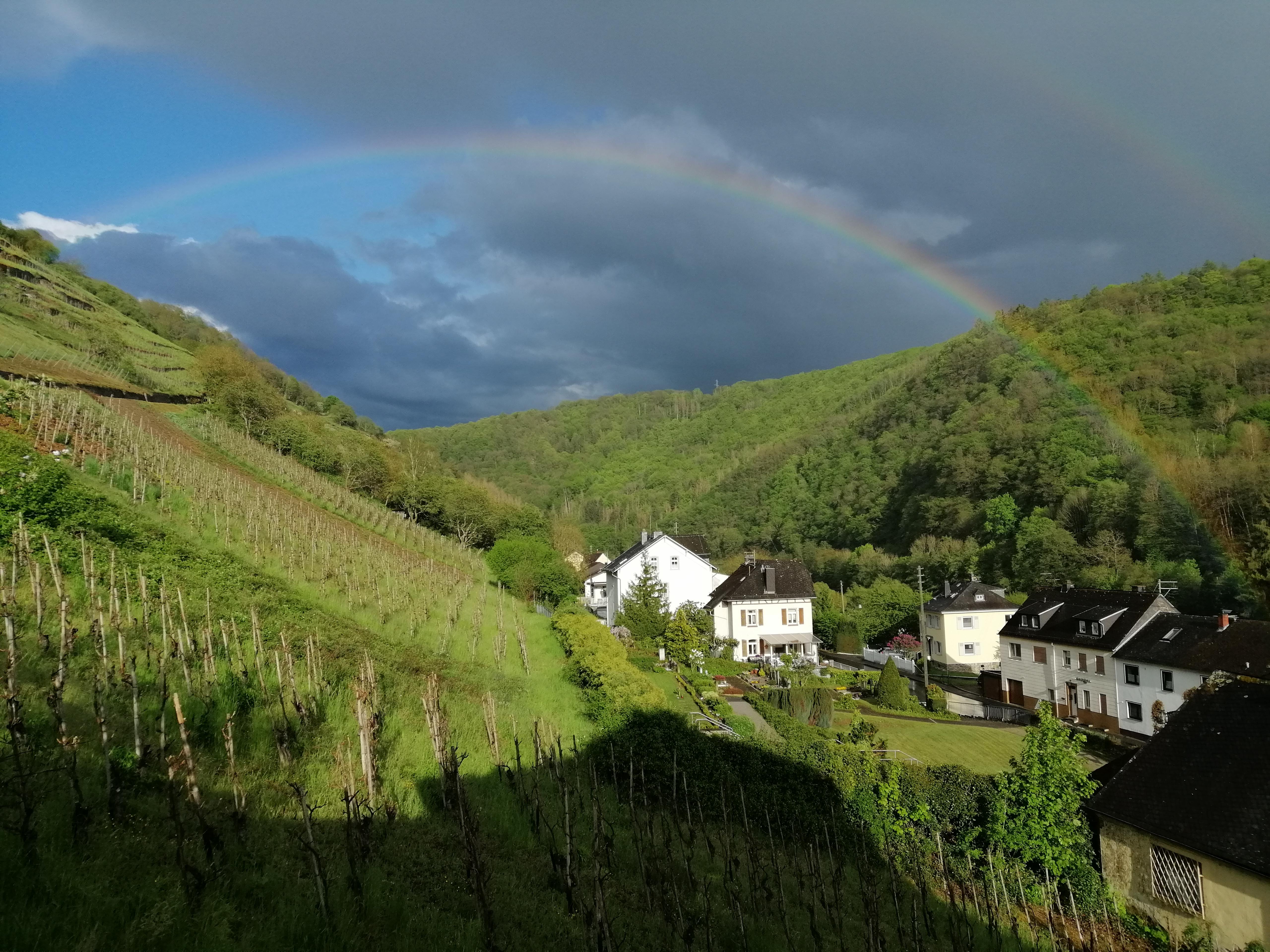 Blick vom Balkon