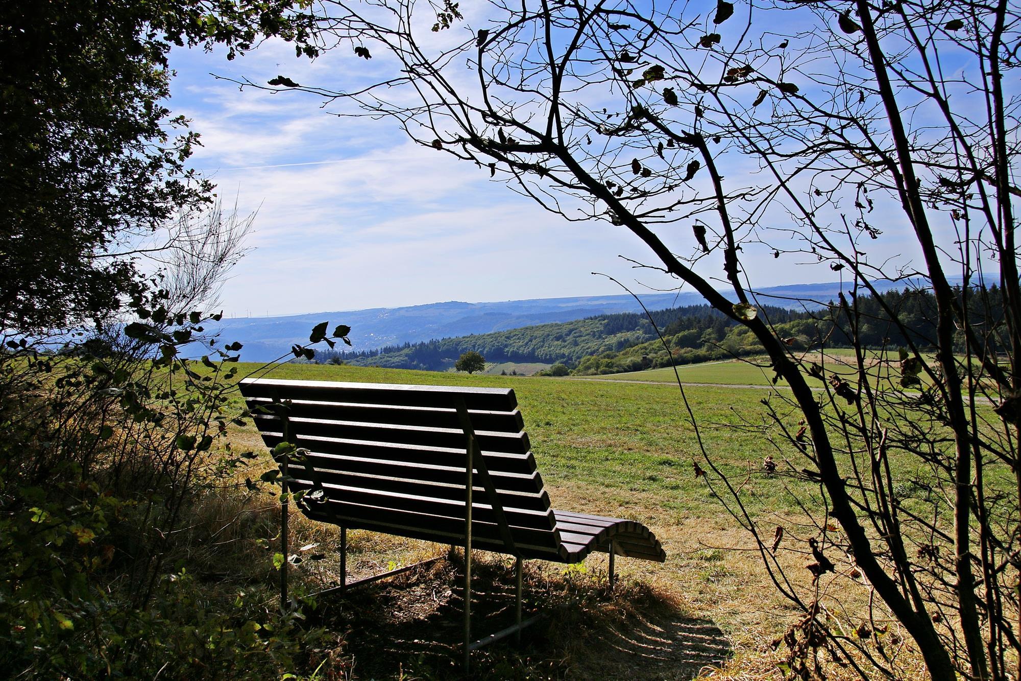 Saar-Riesling-Steig (09)