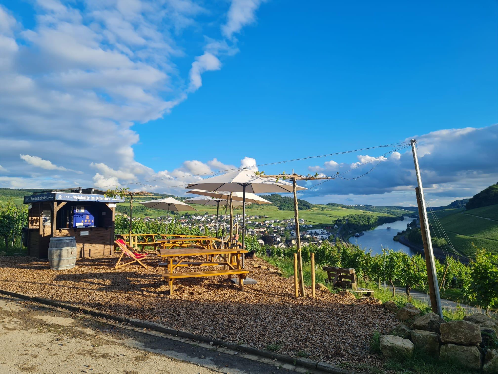 Weinhütte im Leiterchen (02)