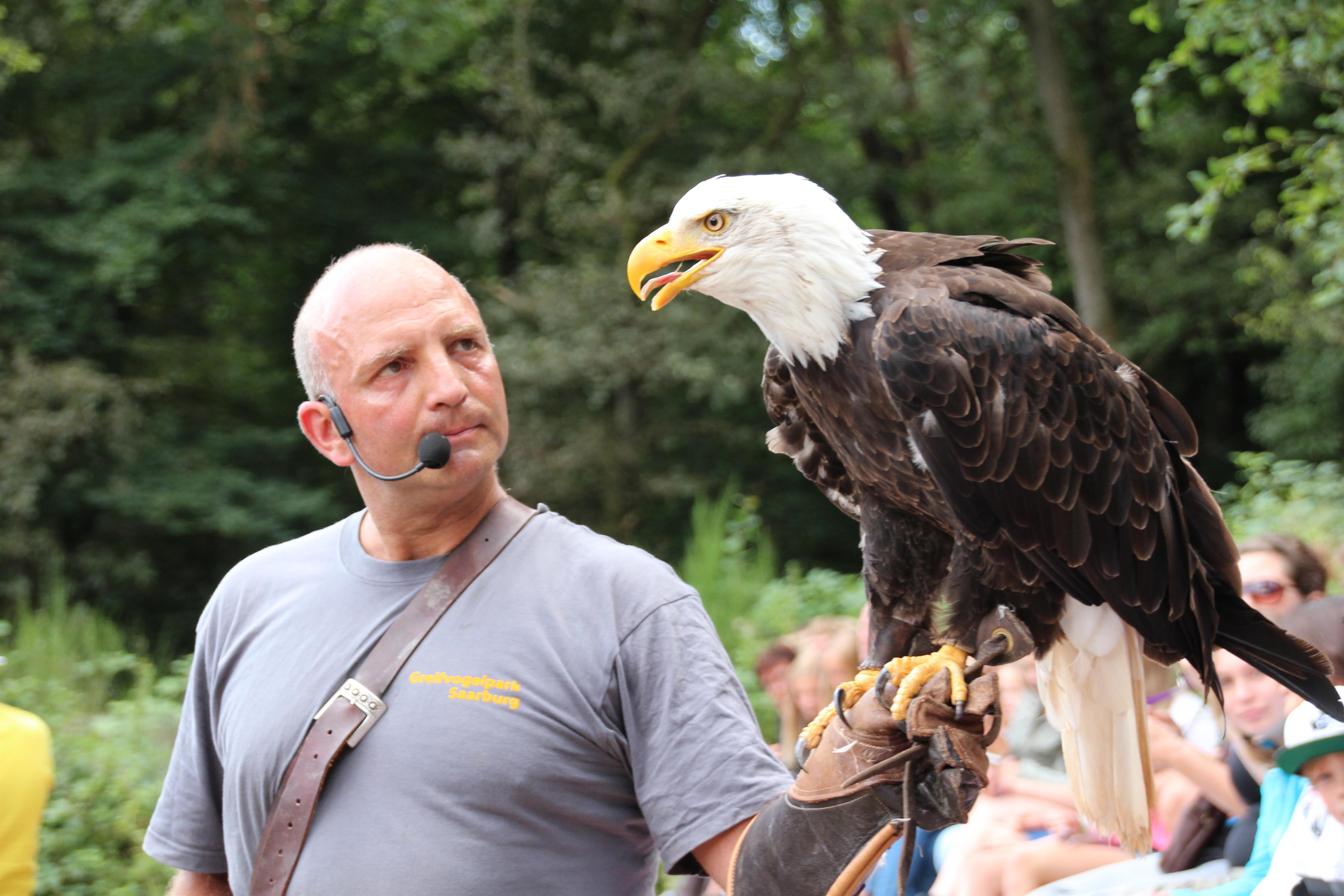 Bird of prey park