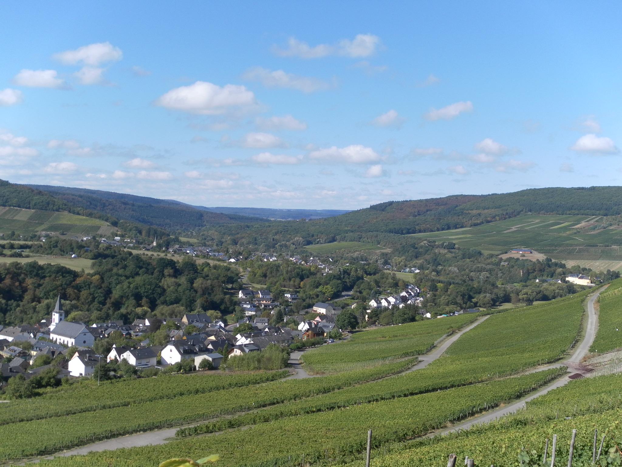 Weinort Maring-Noviand