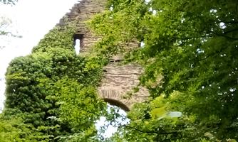 Geheimnisvolle Klosterruine Brunnenburg