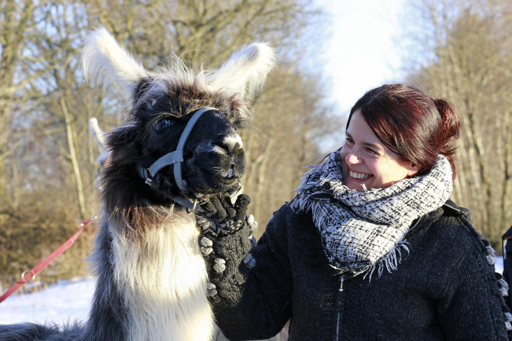 Kopphof Lamas und Alpakas