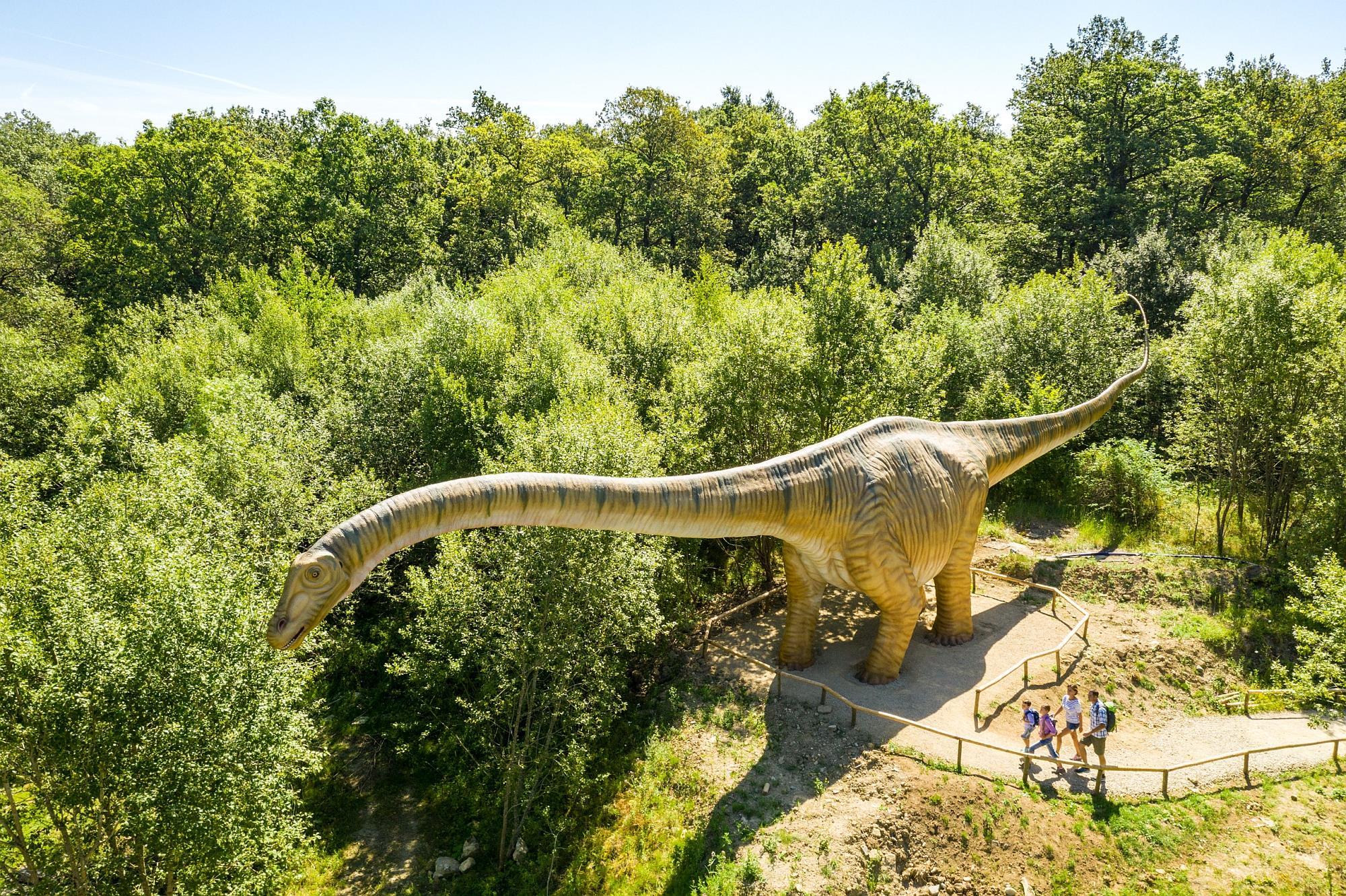 Teufelsschlucht dinosaur park