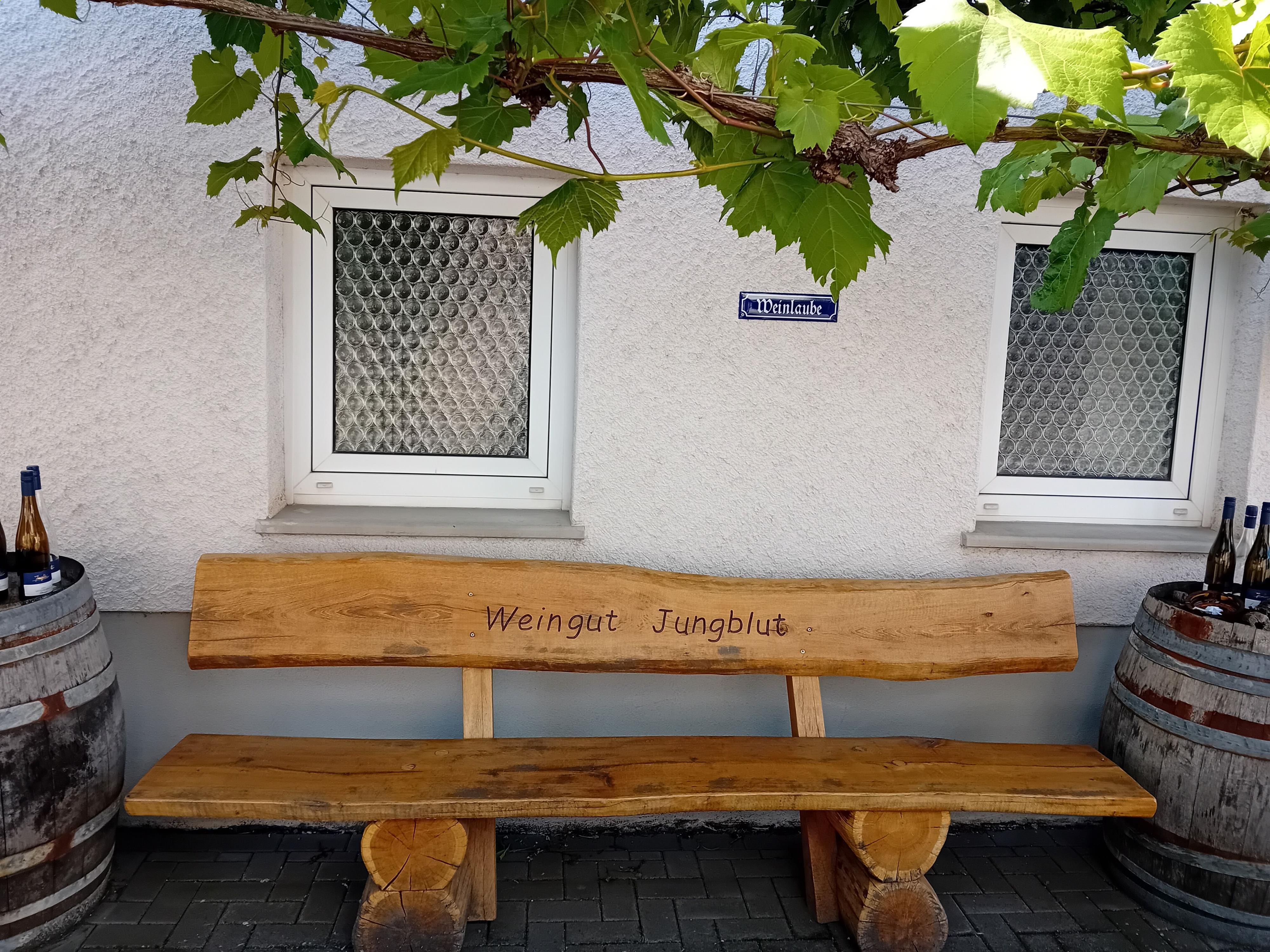 Weingut Jungblut Konz-Oberemmel (03)