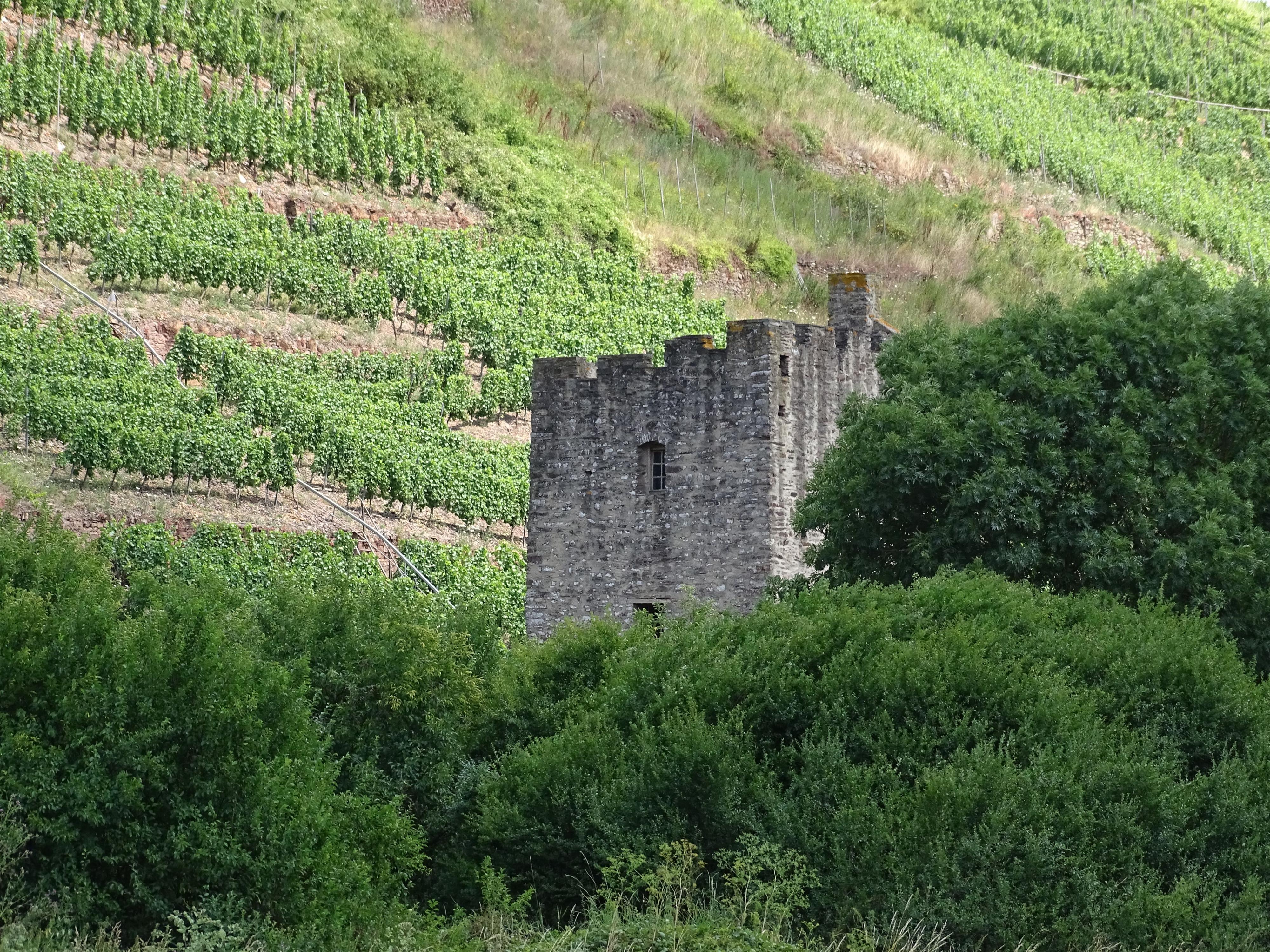 Multikulti im Moseltal3