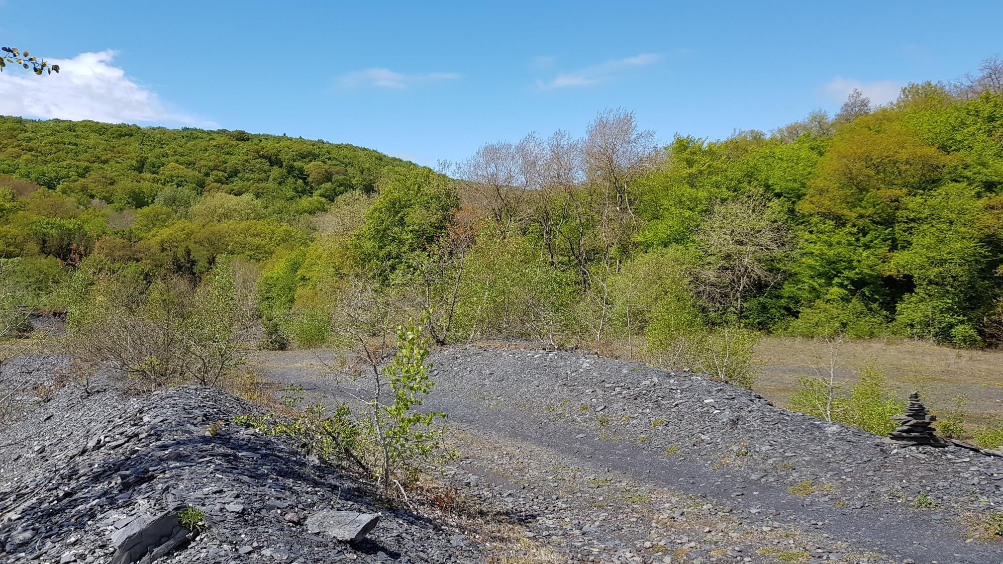 @ Svenja Schulze-Entrup