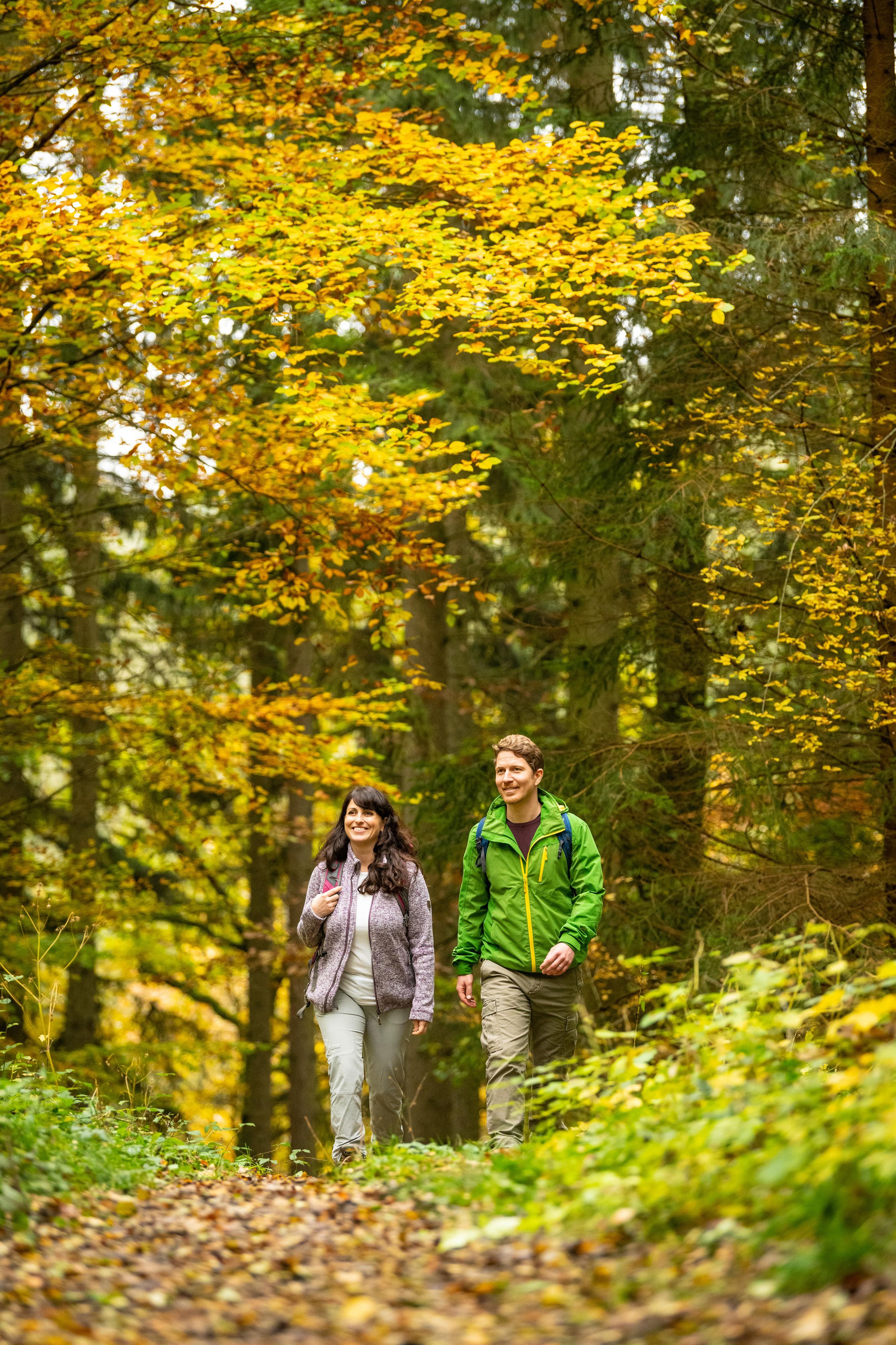 Wandern