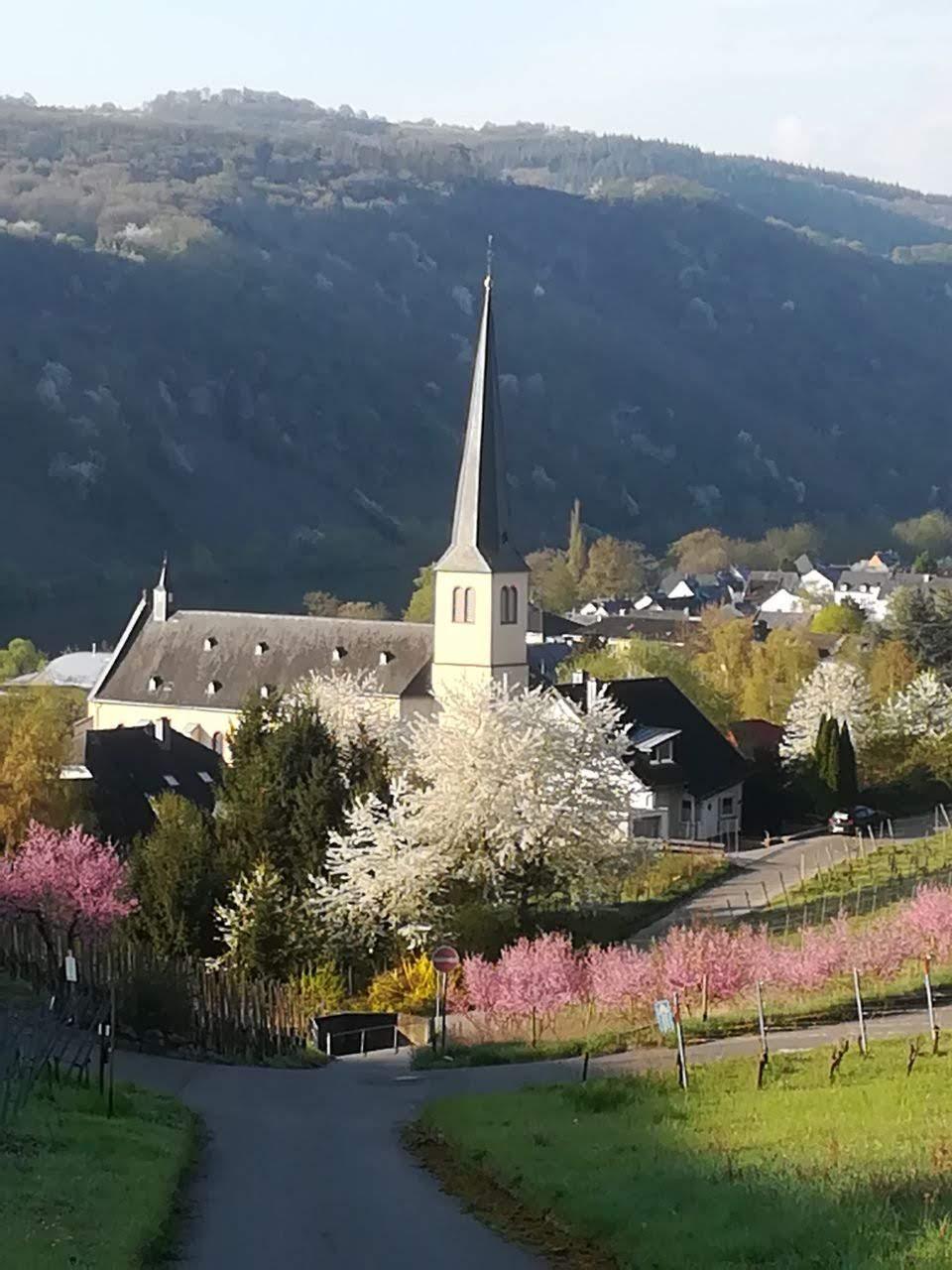 Blick auf Kröv
