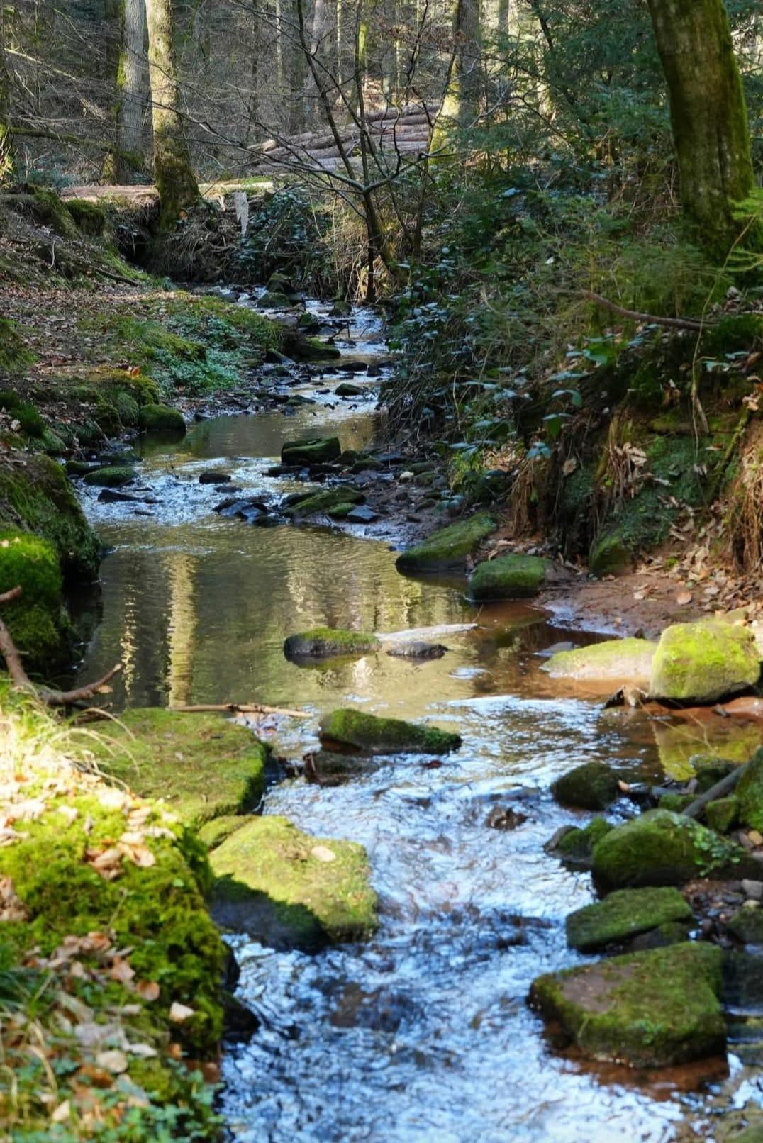 Meulenwald