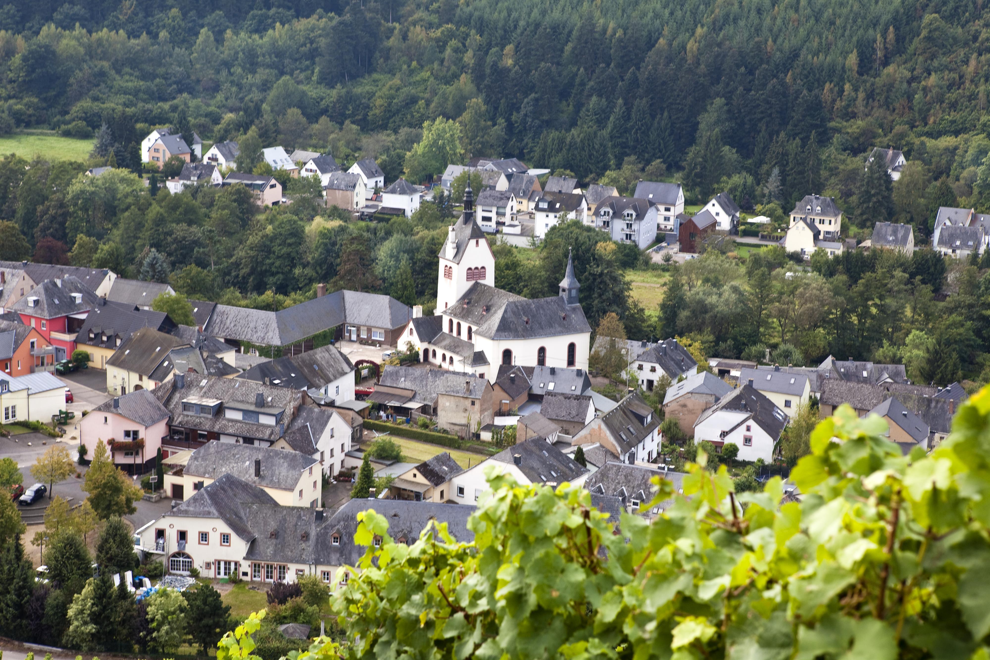 Aufstellung des Maibaumes