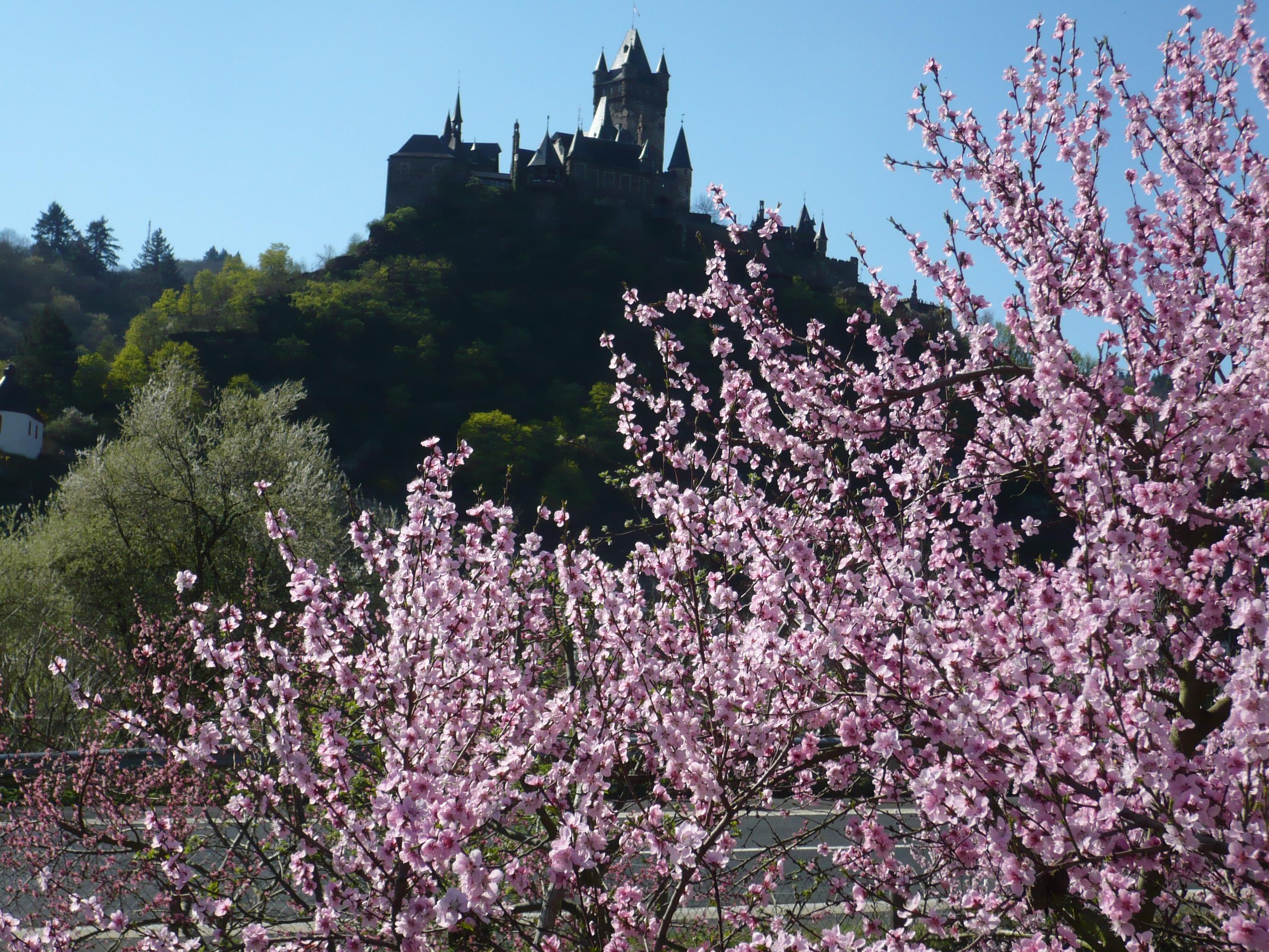 Wanderung von Cochem nach Ernst