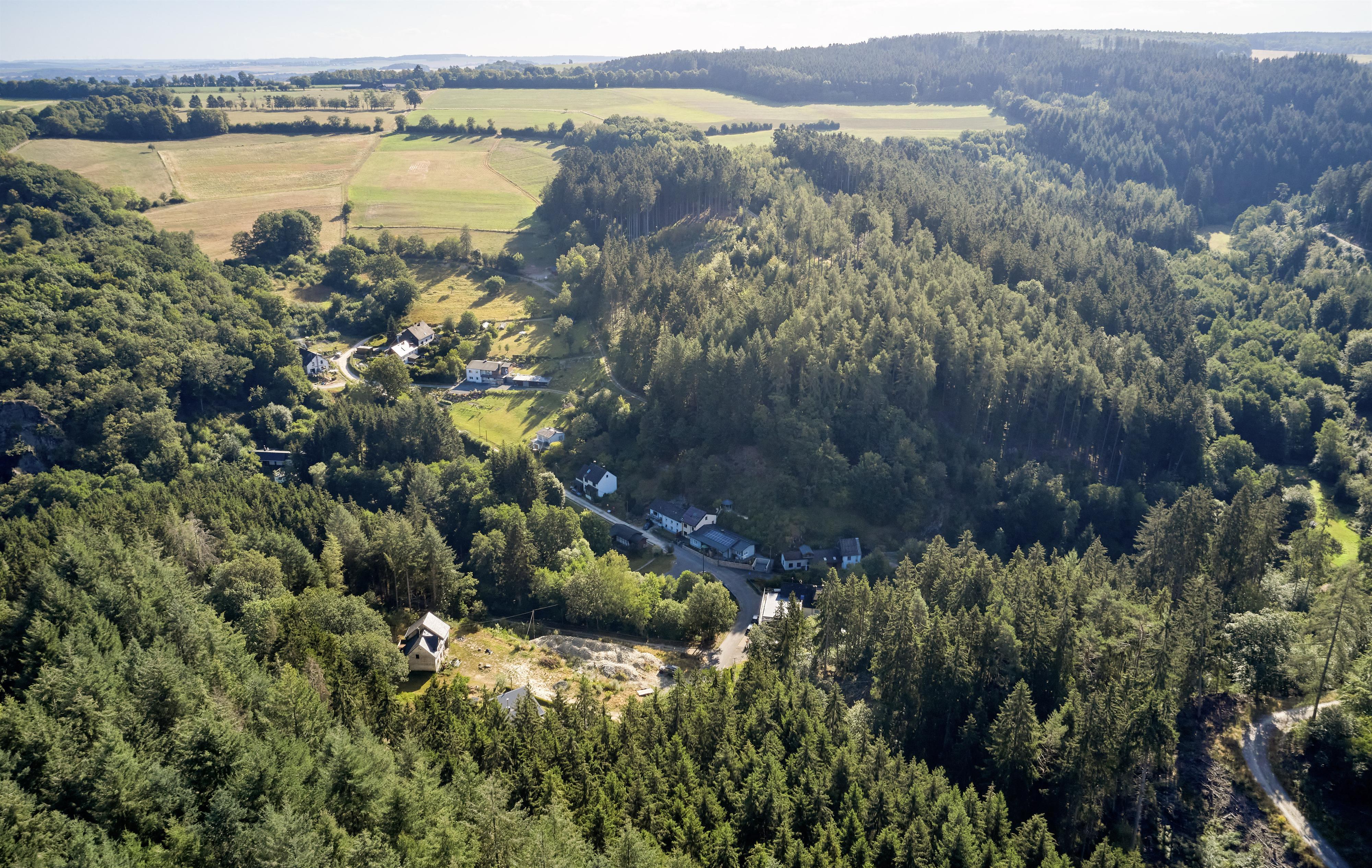 Monzelfeld