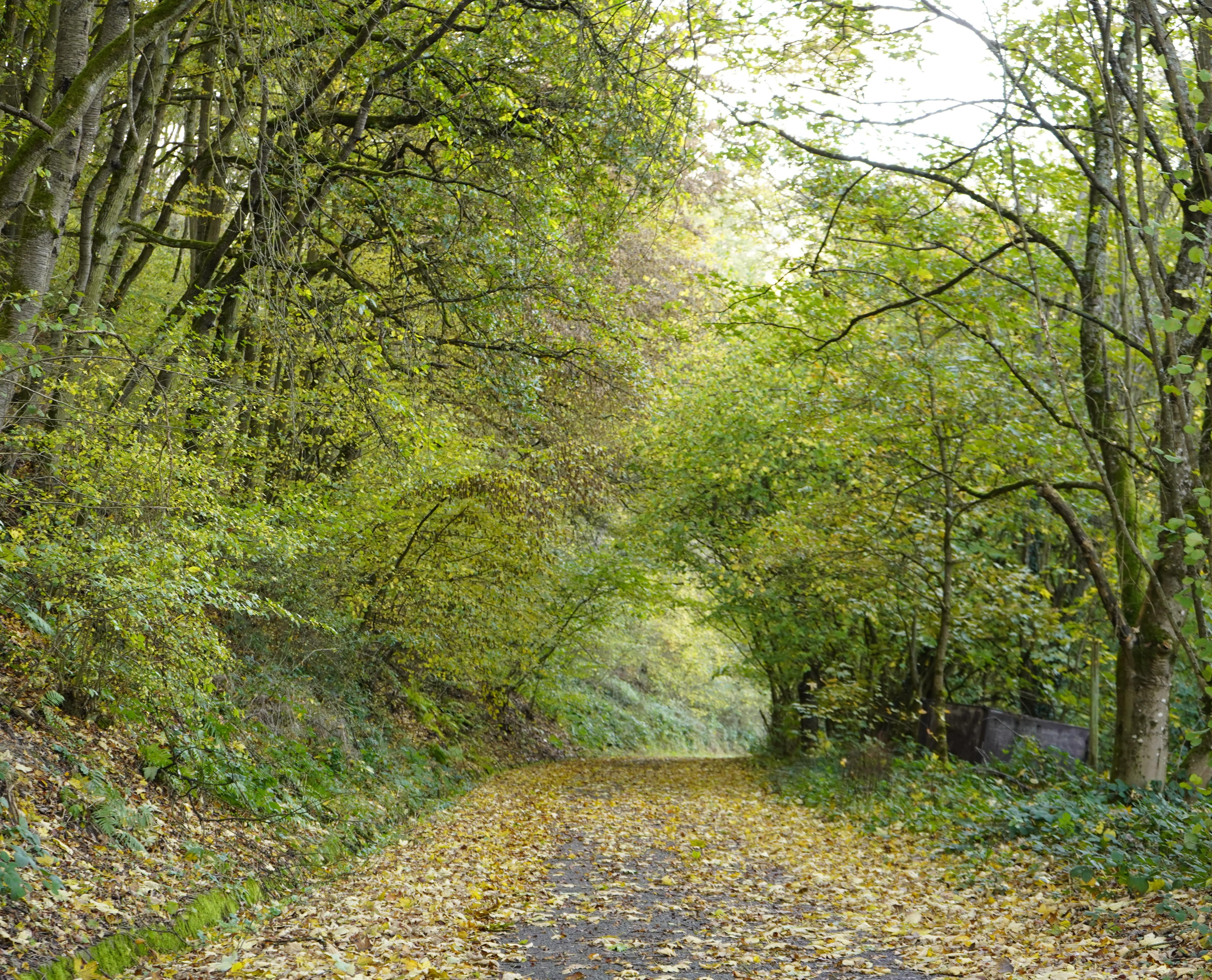 Kopie_DSC6541