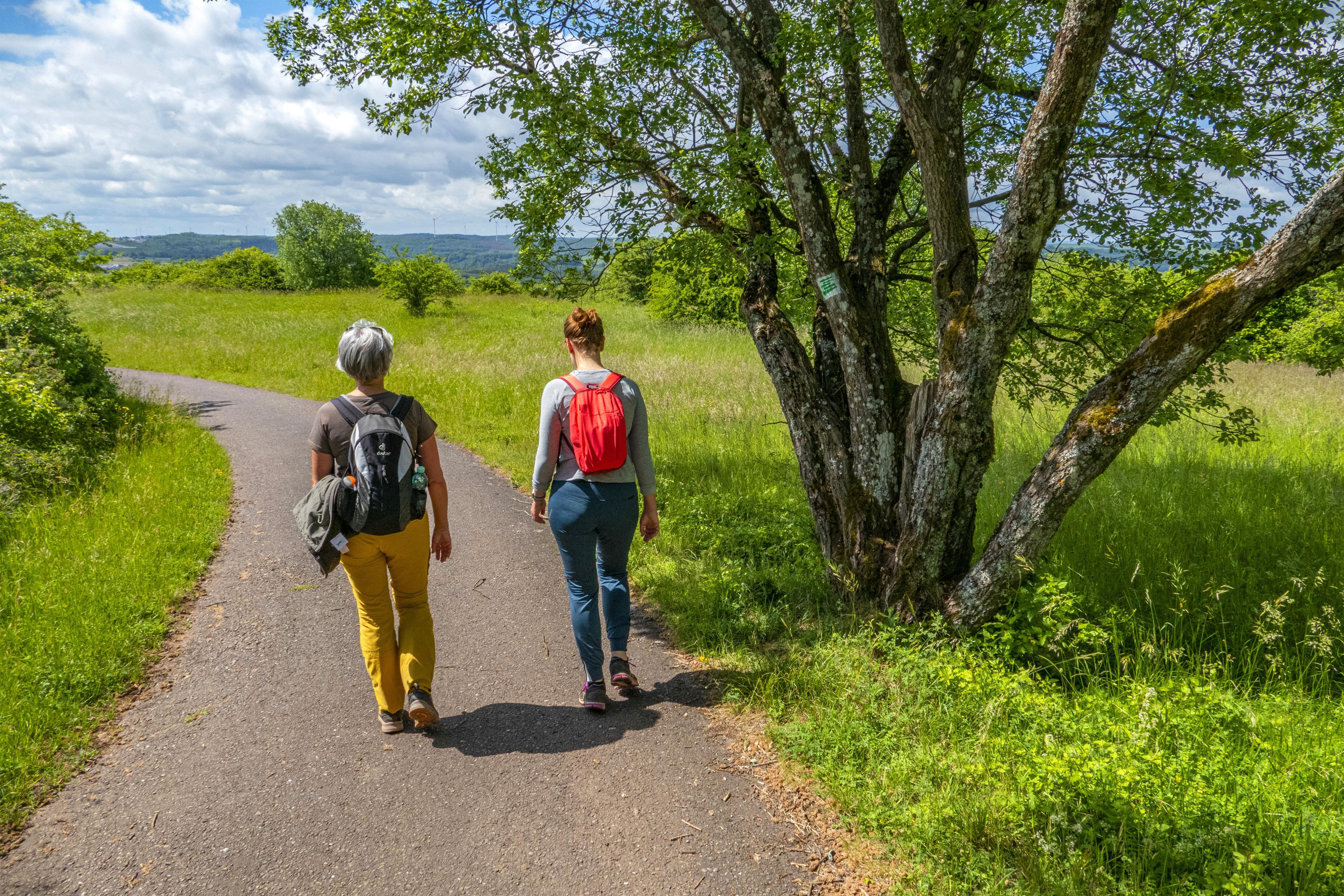 Gemeinsame Wanderung