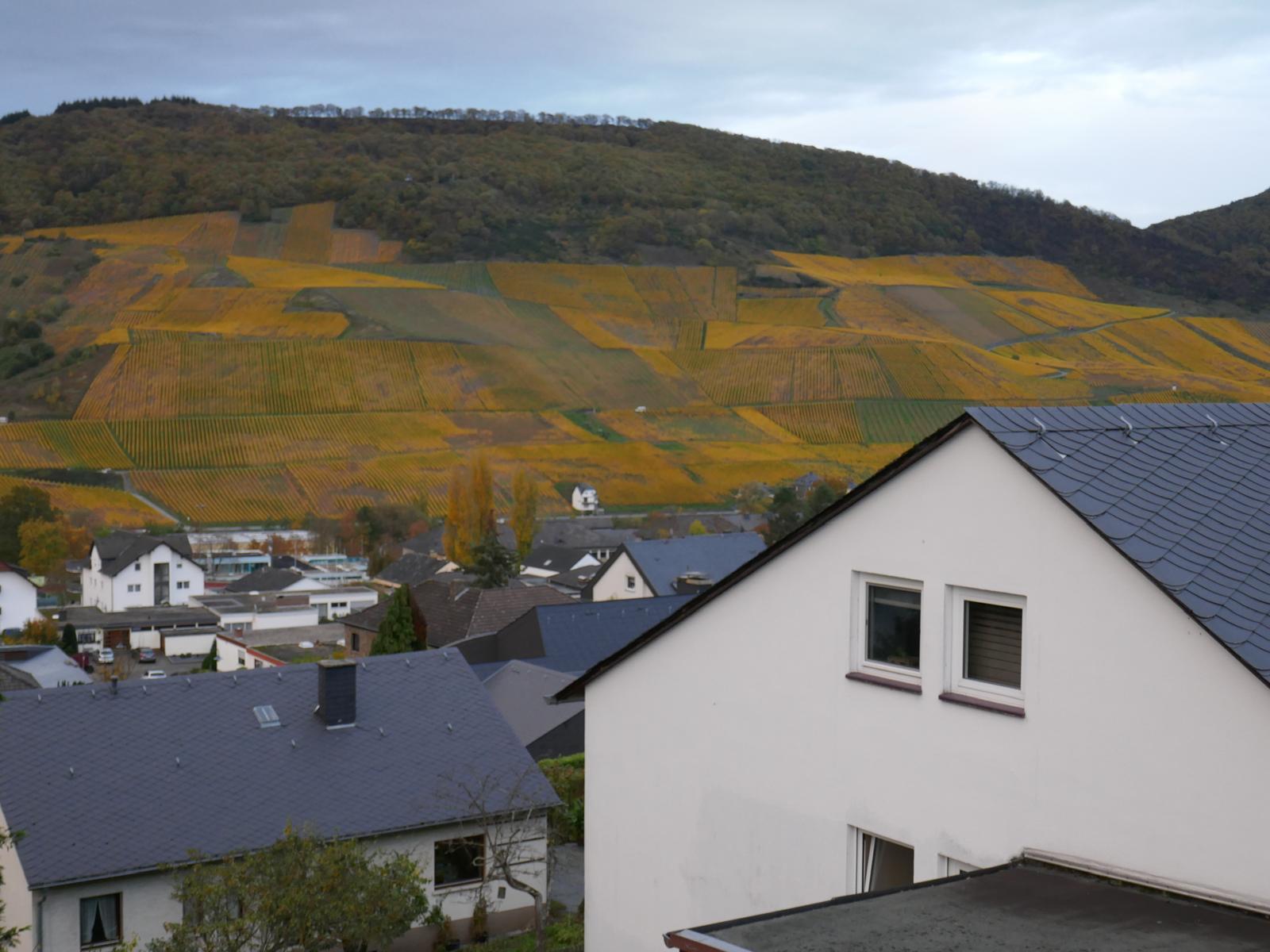 2_Terrasse9