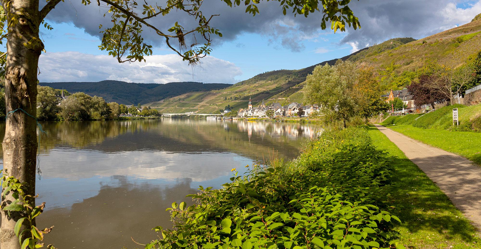 Zell an der Mosel