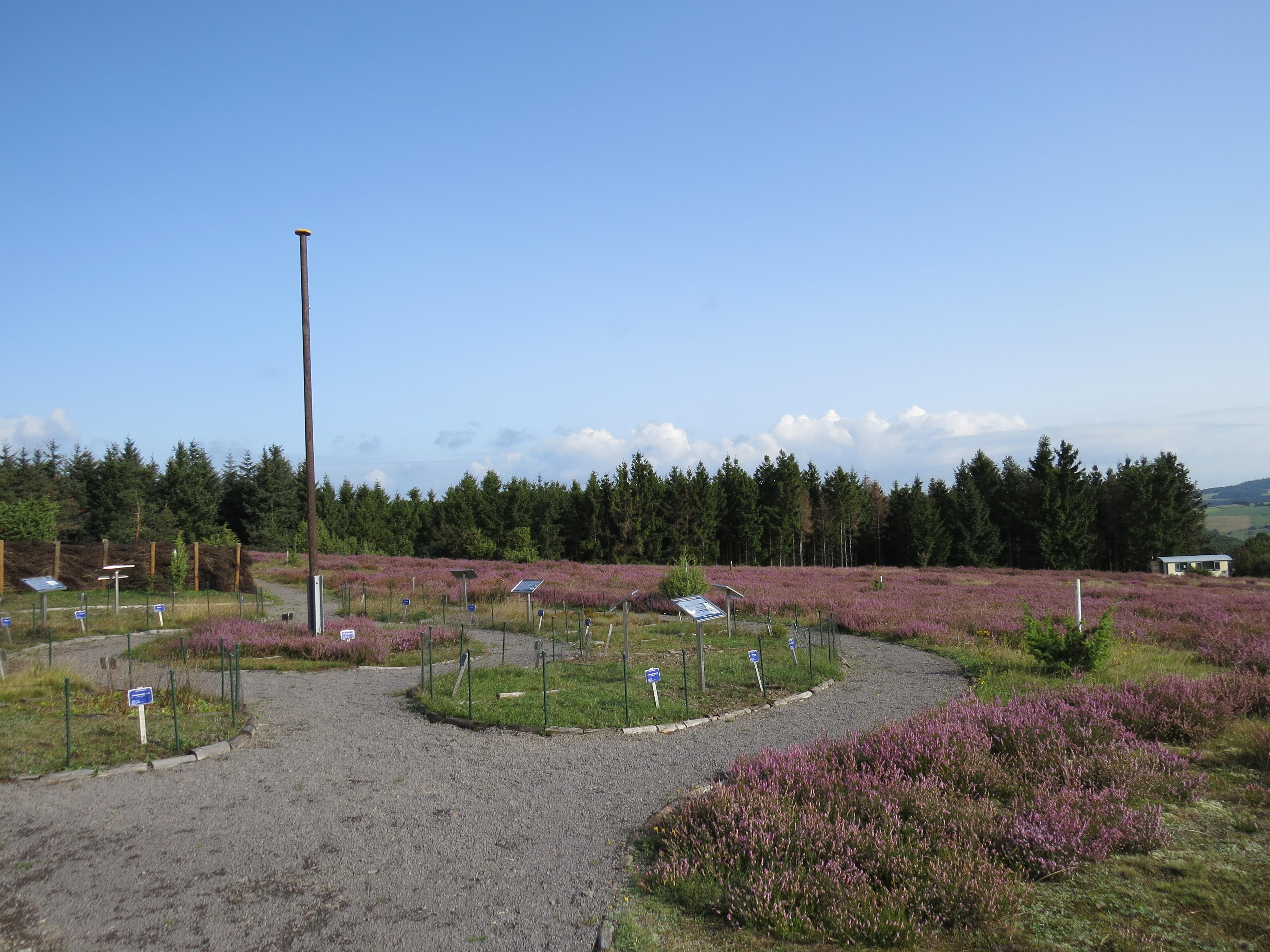 Heidegarten Wabelsberg, @ Svenja Schulze-Entrup
