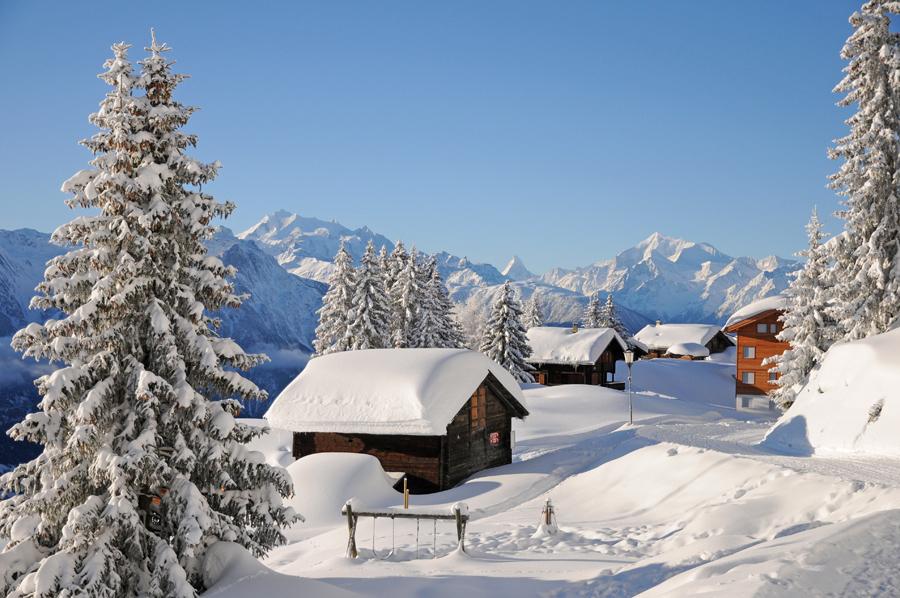 Winterbild Zwischen Riederalp und Bettmeralp Winterbild Zwischen Riederalp und Bettmeralp