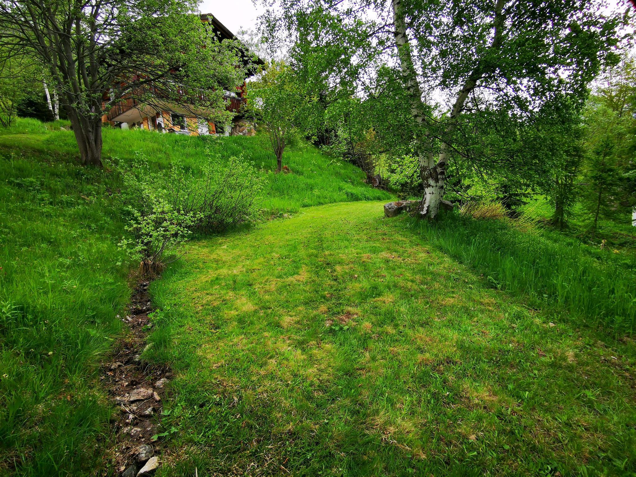 IMG_20210604_112645_resized_20210822_113310499-min IMG_20210604_112645_resized_20210822_113310499-min